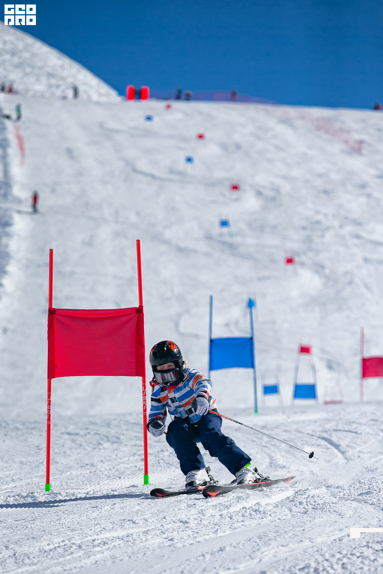 AI2V7370-30 копия.jpg