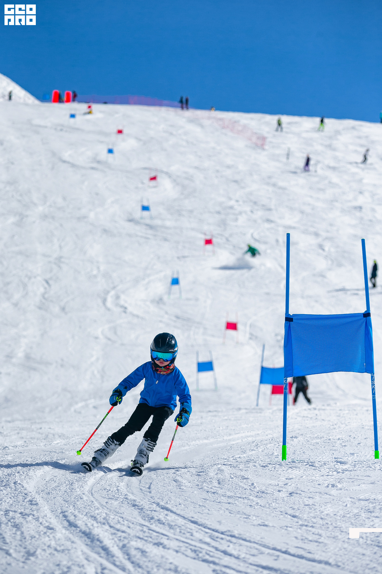 AI2V7475-43 копия.jpg