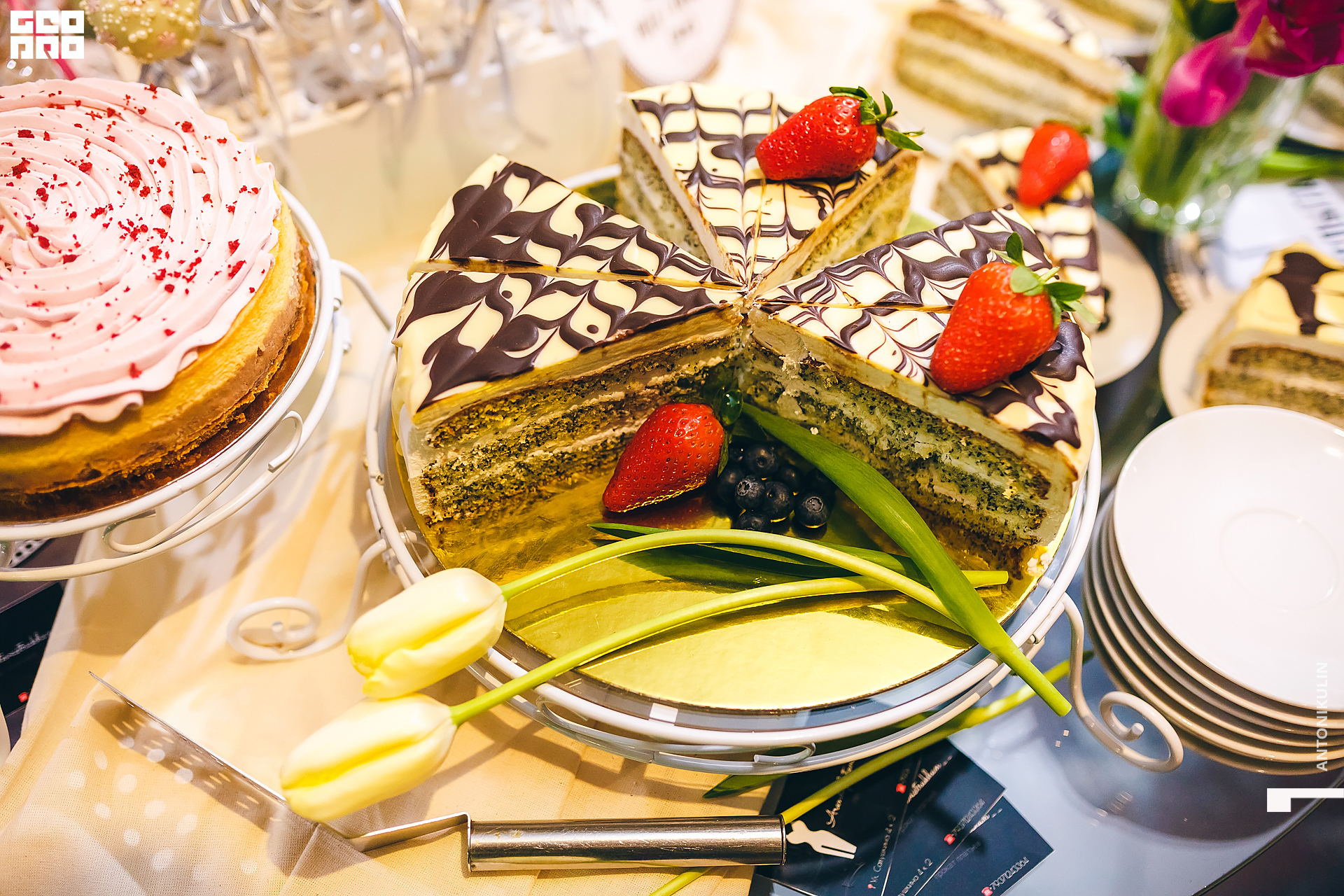 untitled shoot-1823.jpg