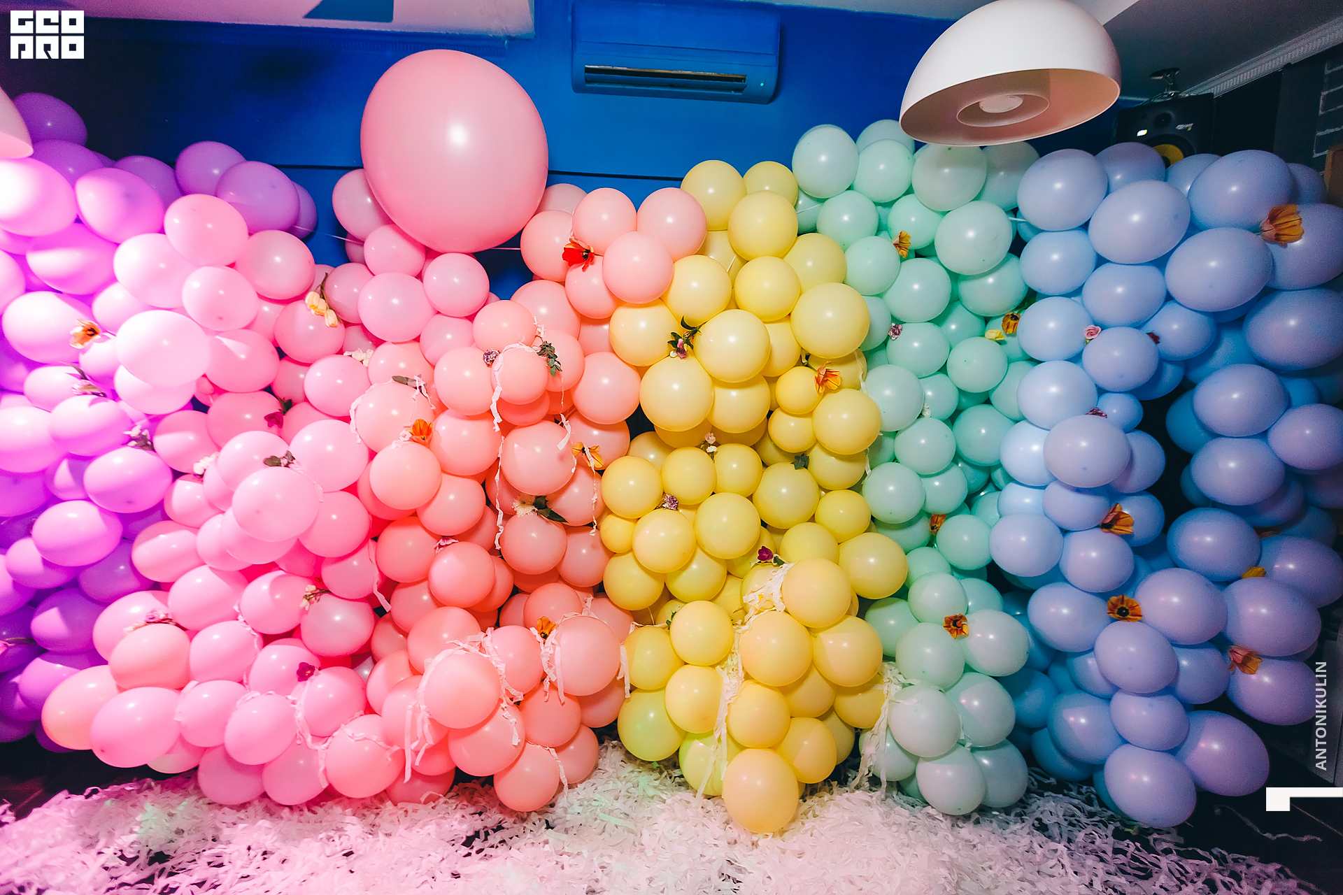 untitled shoot-2654.jpg