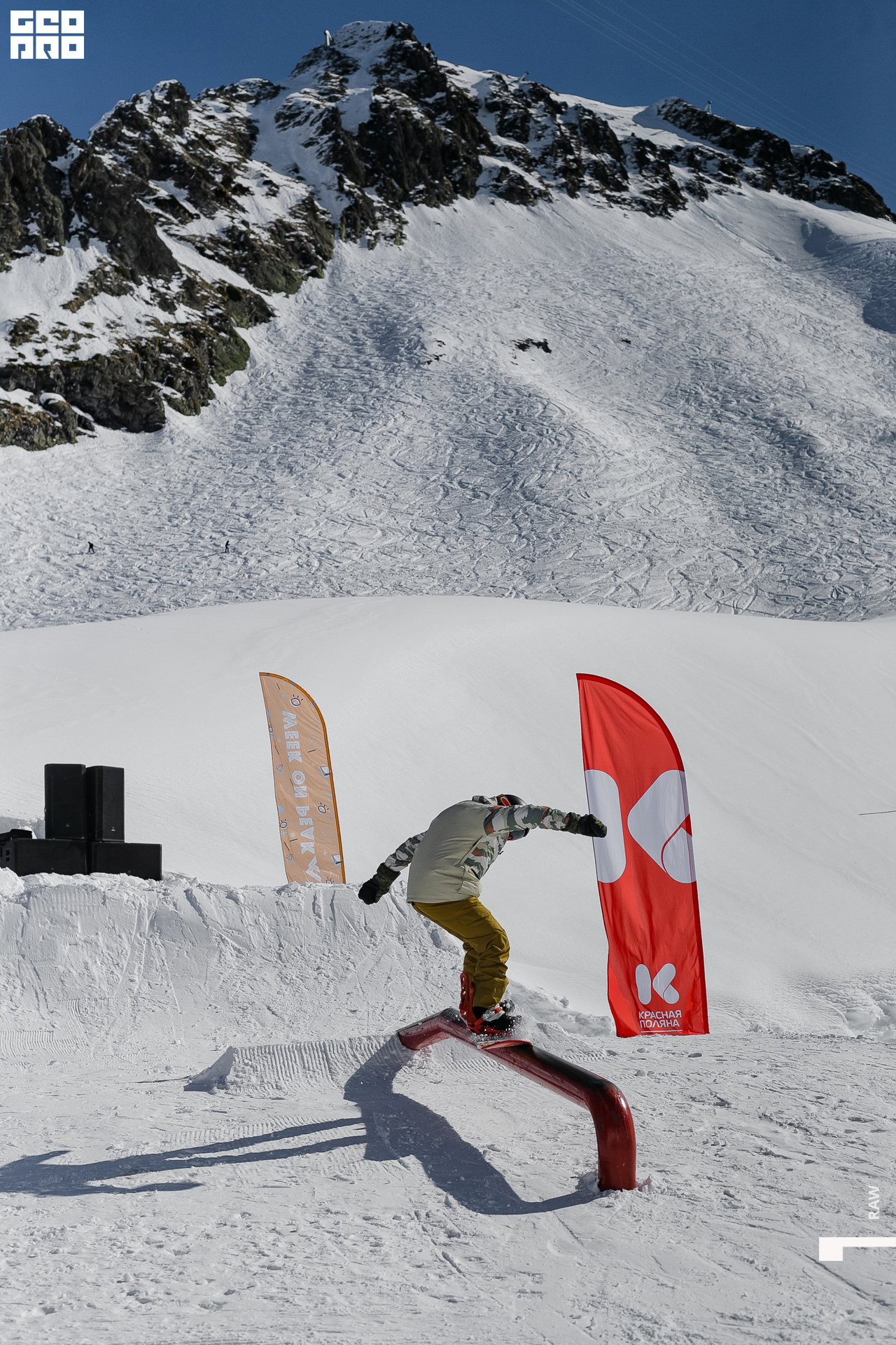 AI2V8253-50 копия.jpg