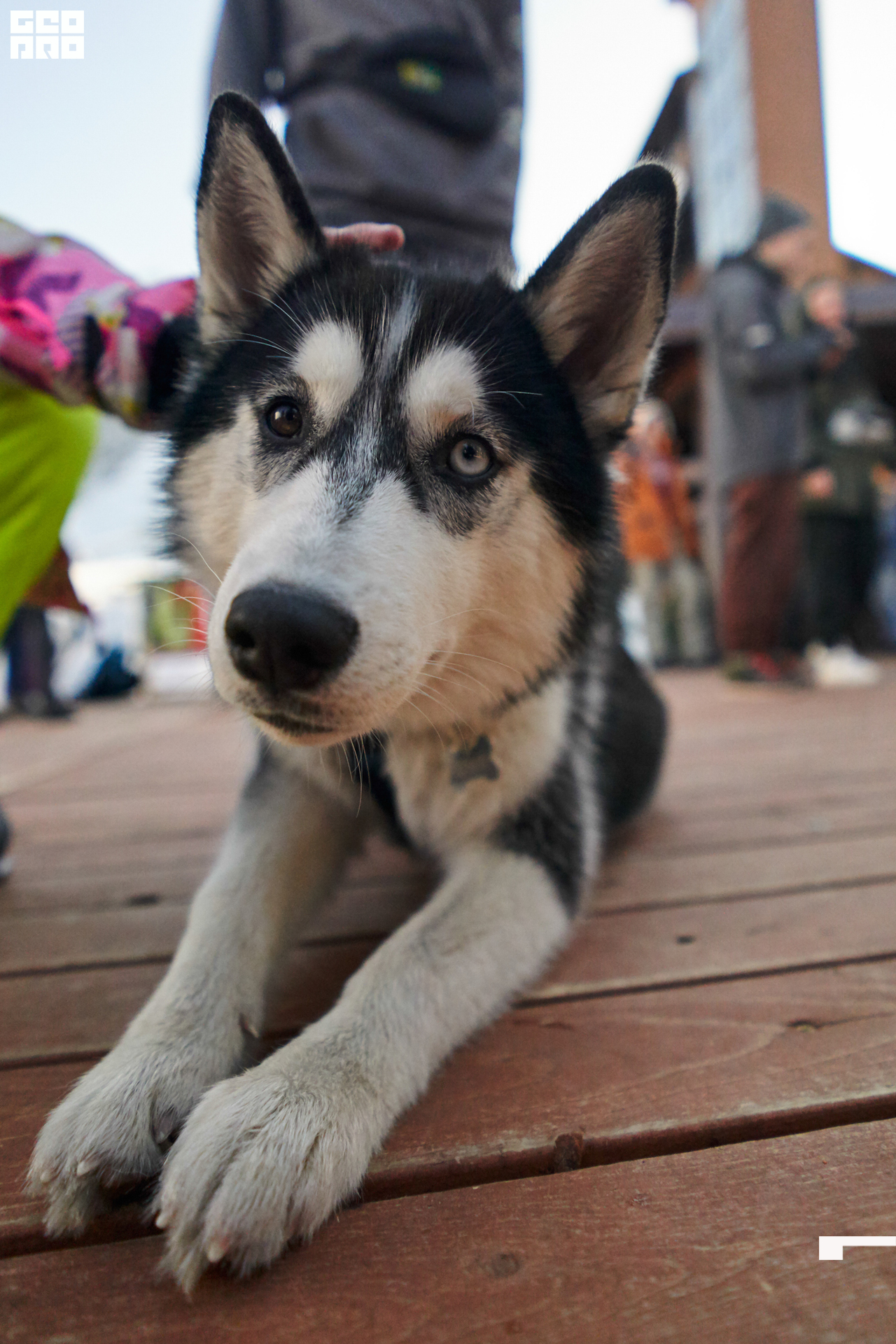 08.03.20 Апрески_068.jpg