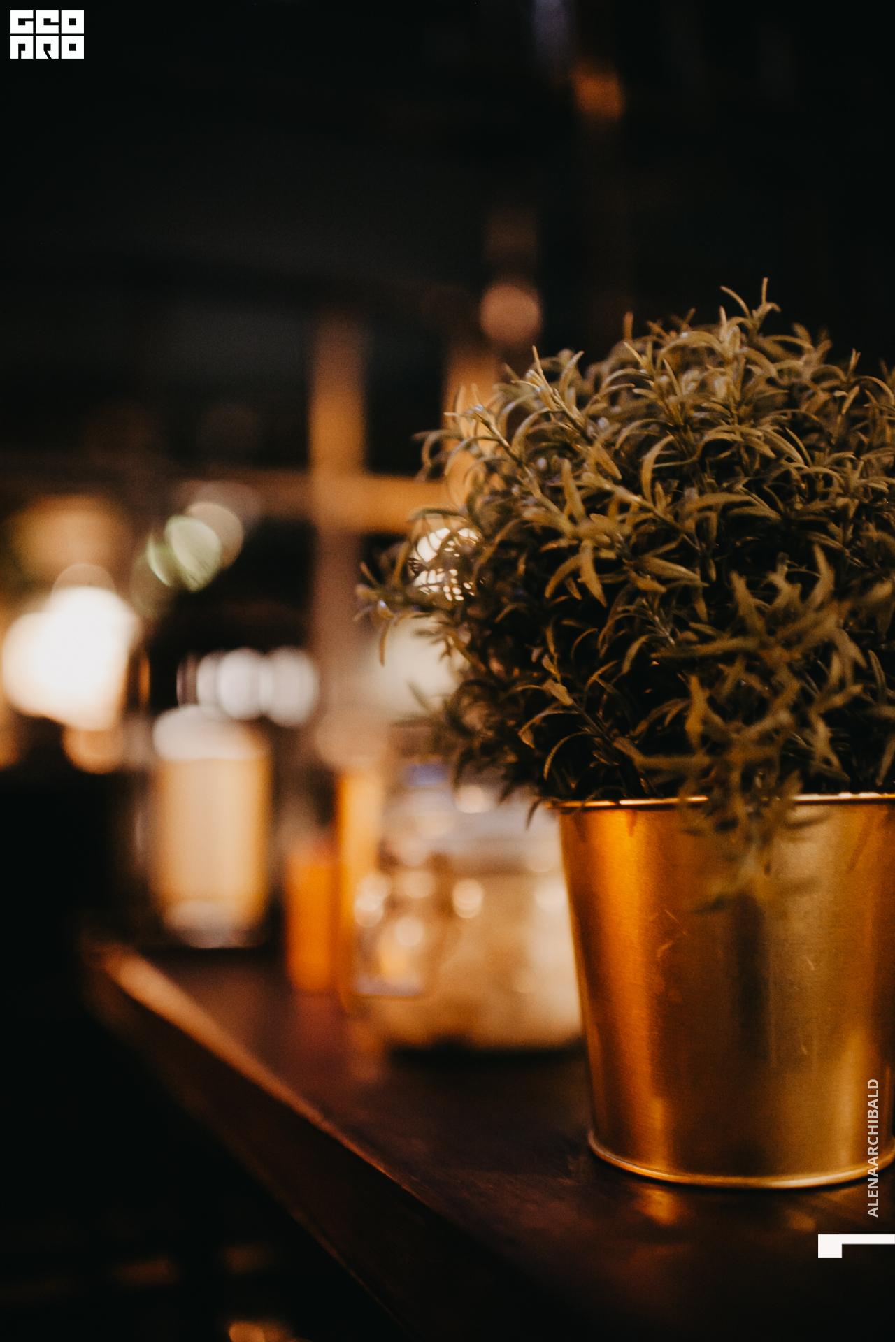 2020-03-07 21-30-14_alenaarchibald_0063.JPG