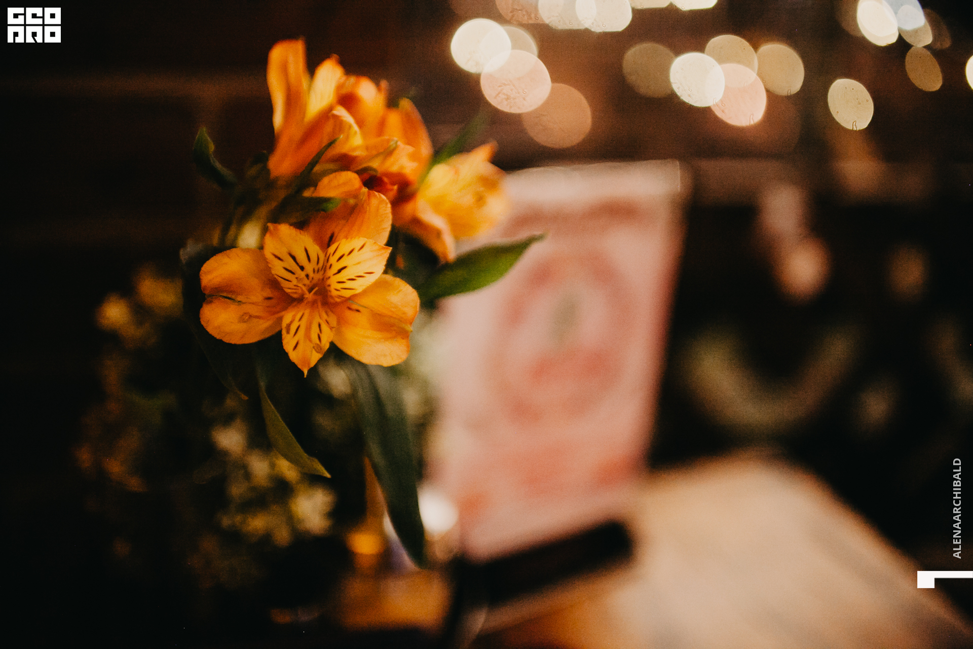 2020-03-07 21-30-14_alenaarchibald_0097.JPG