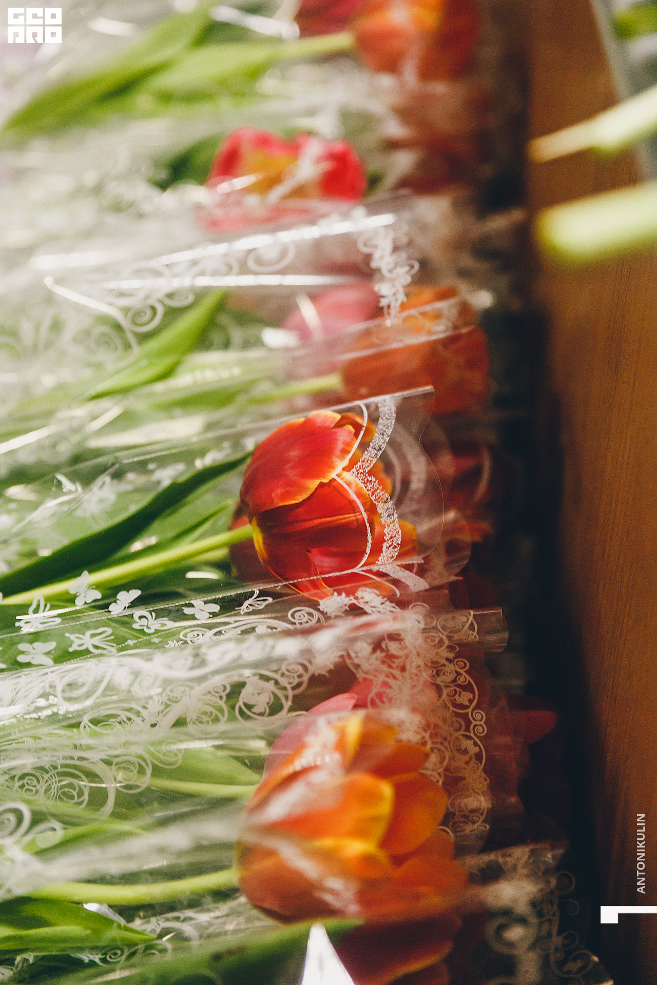 untitled shoot-4367.jpg