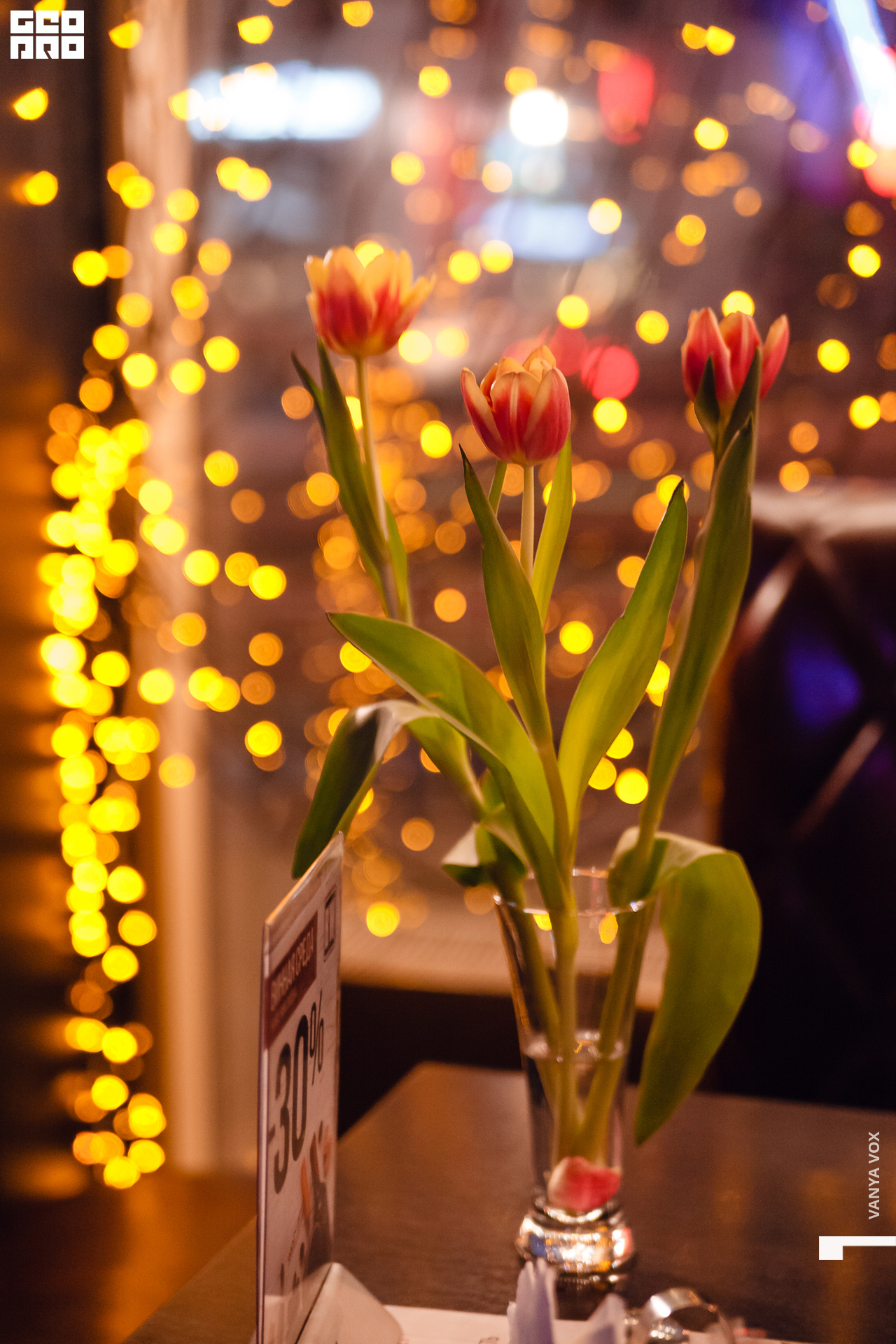 2020-03-08 18-00-00_vox_039.jpg