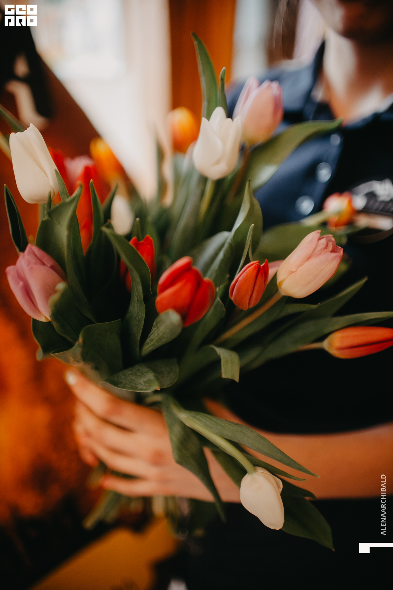 2020-03-08 17-00-03_alenaarchibald_0004.JPG