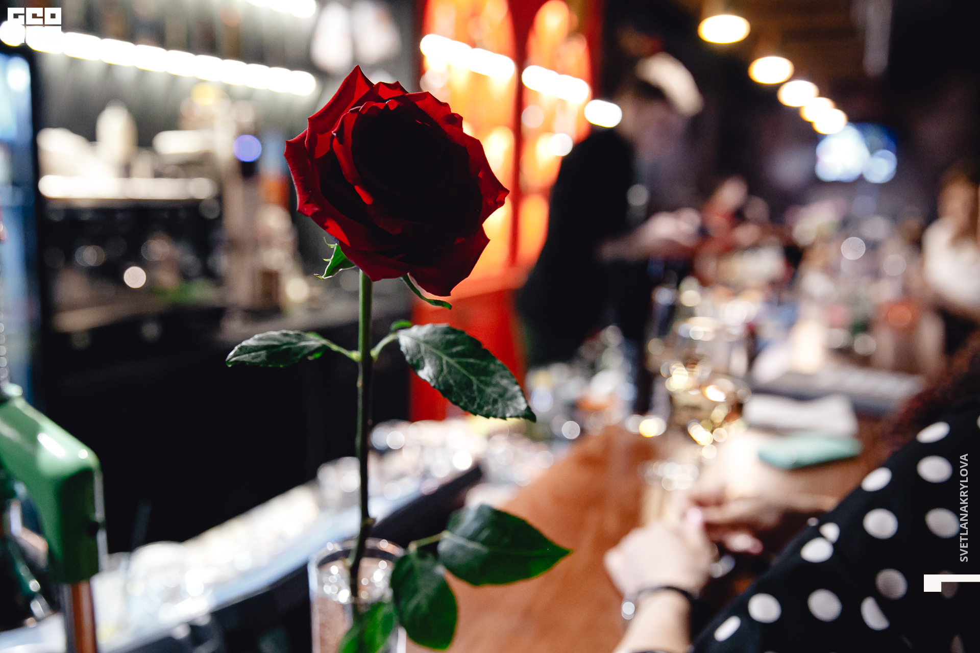 2020-03-08 23-00-00 Krylova_041.jpg