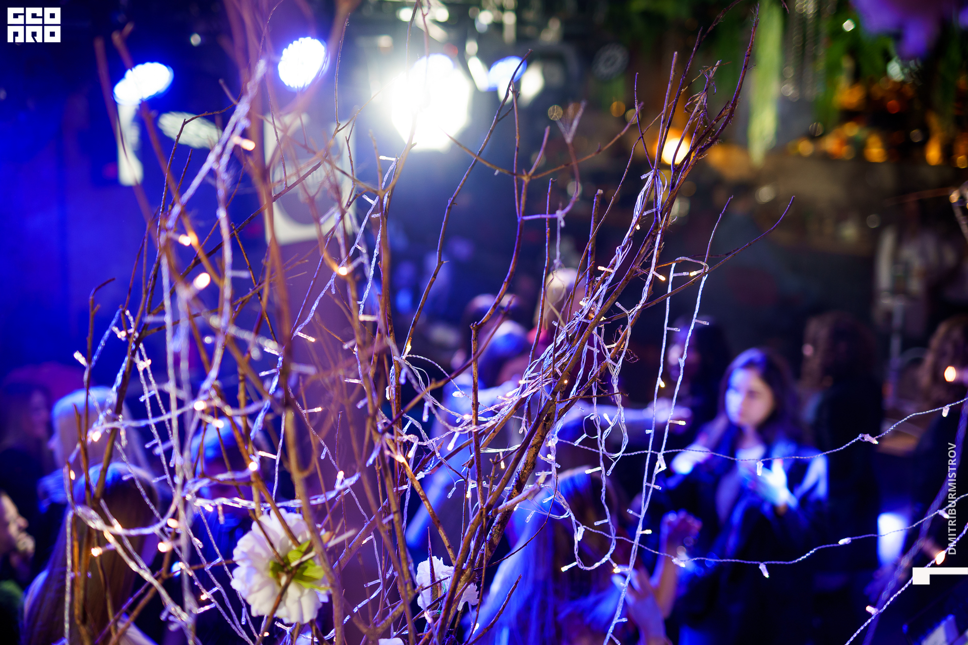 Photo (3 of 140).jpg