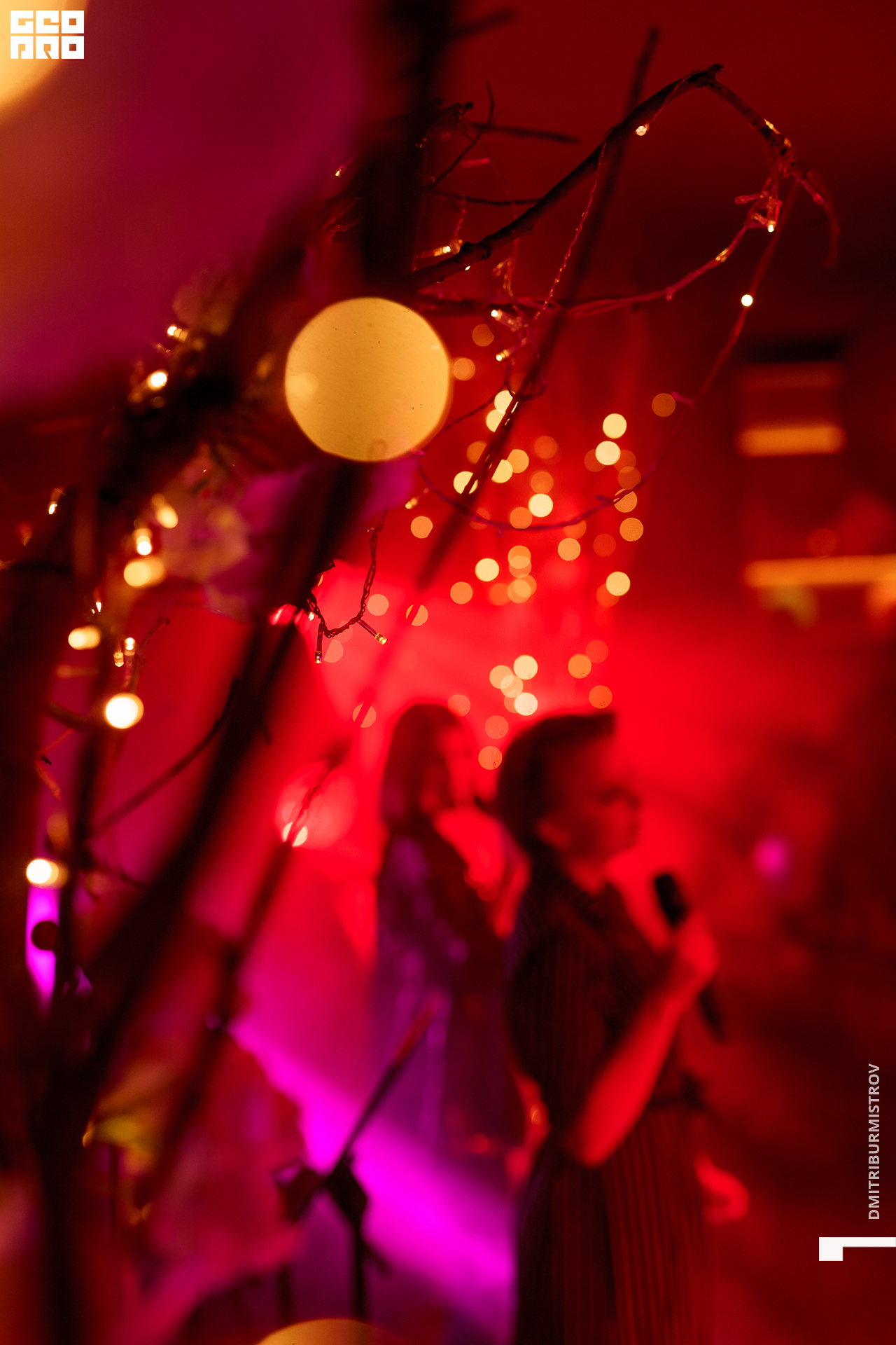 Photo (8 of 140).jpg