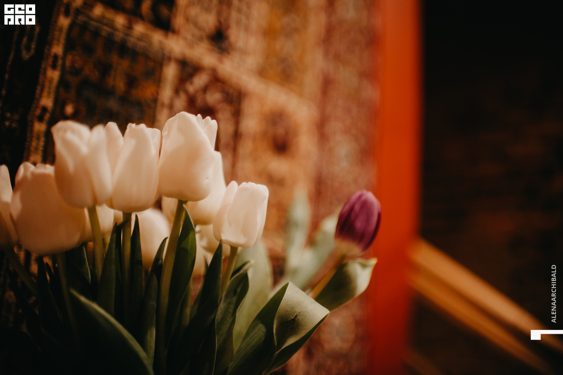 2020-03-08 20-00-07_alenaarchibald_0035.JPG