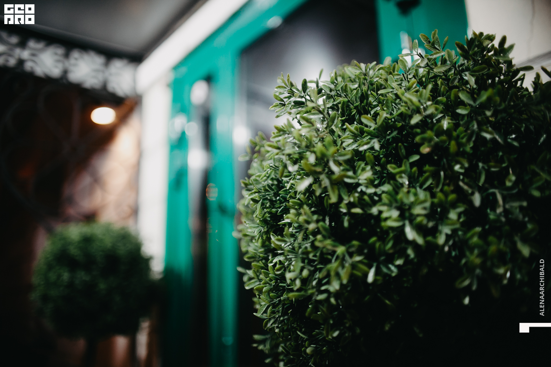 2020-03-08 20-00-07_alenaarchibald_0088.jpg