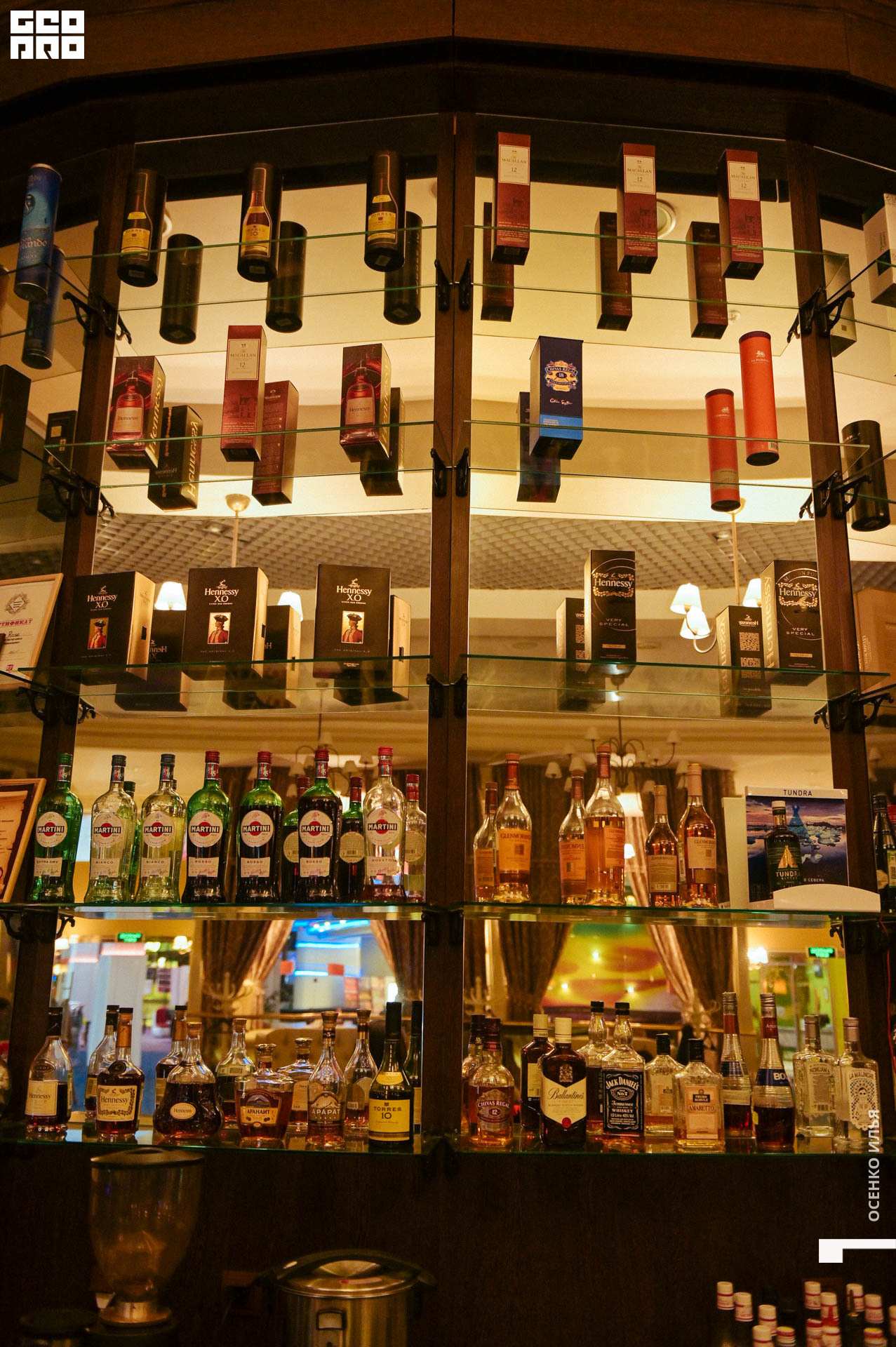 023_2020.03.08 Coffee Rose (38 of 36).jpg