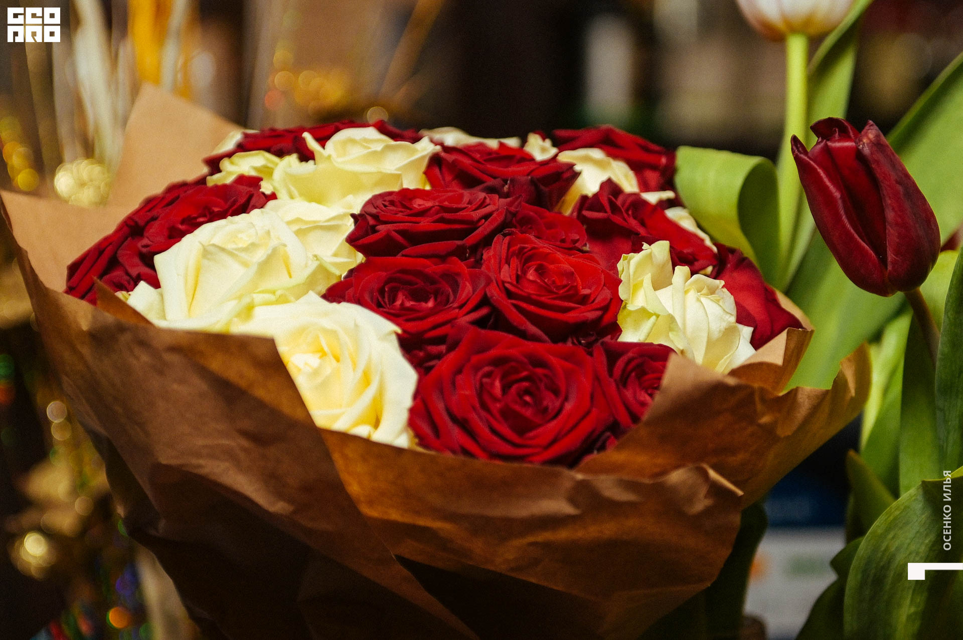 027_2020.03.08 Coffee Rose (37 of 36).jpg