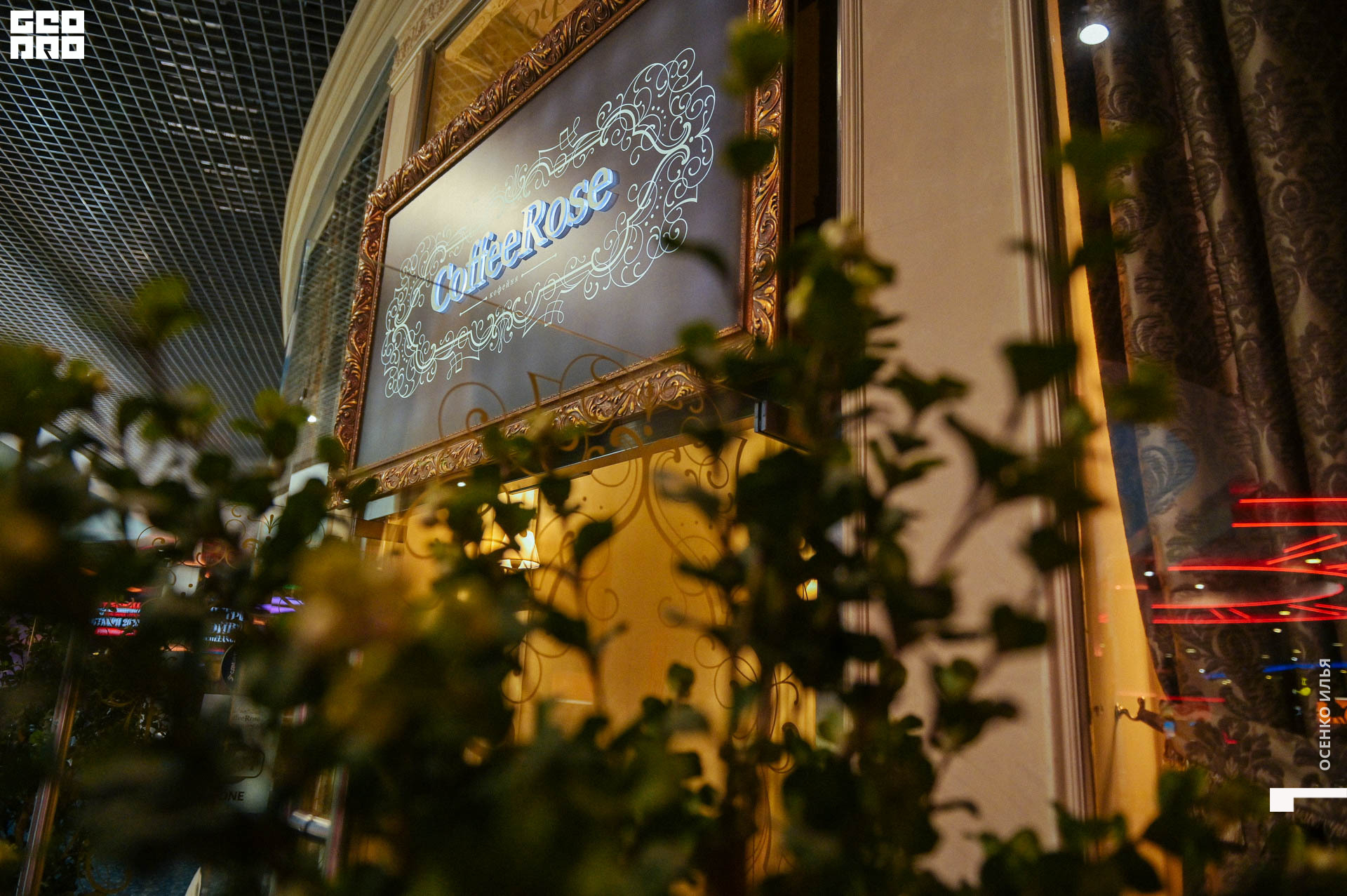 036_2020.03.08 Coffee Rose (23 of 36).jpg