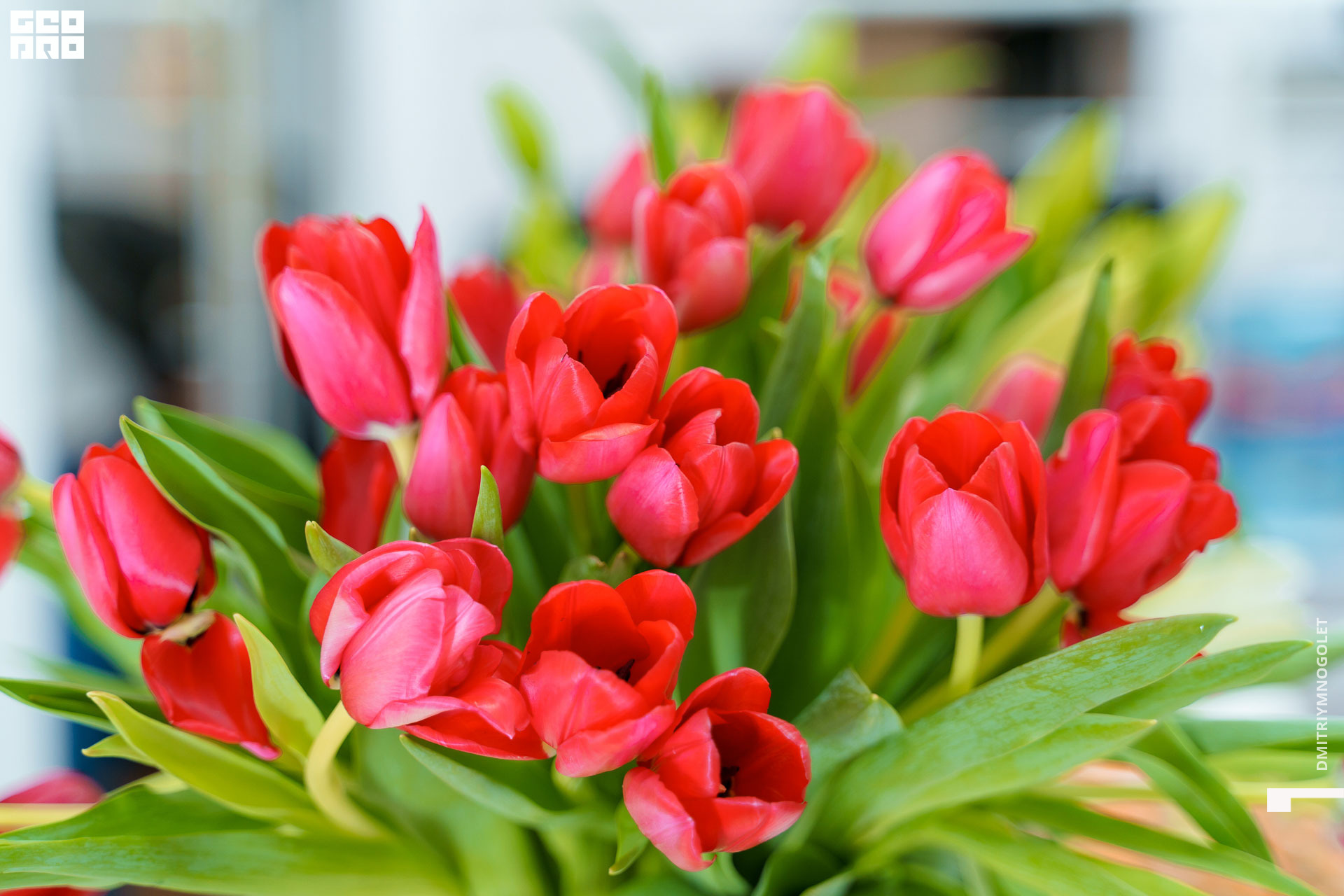 07.03.20_Открытие Crystal Nails_0001.jpg