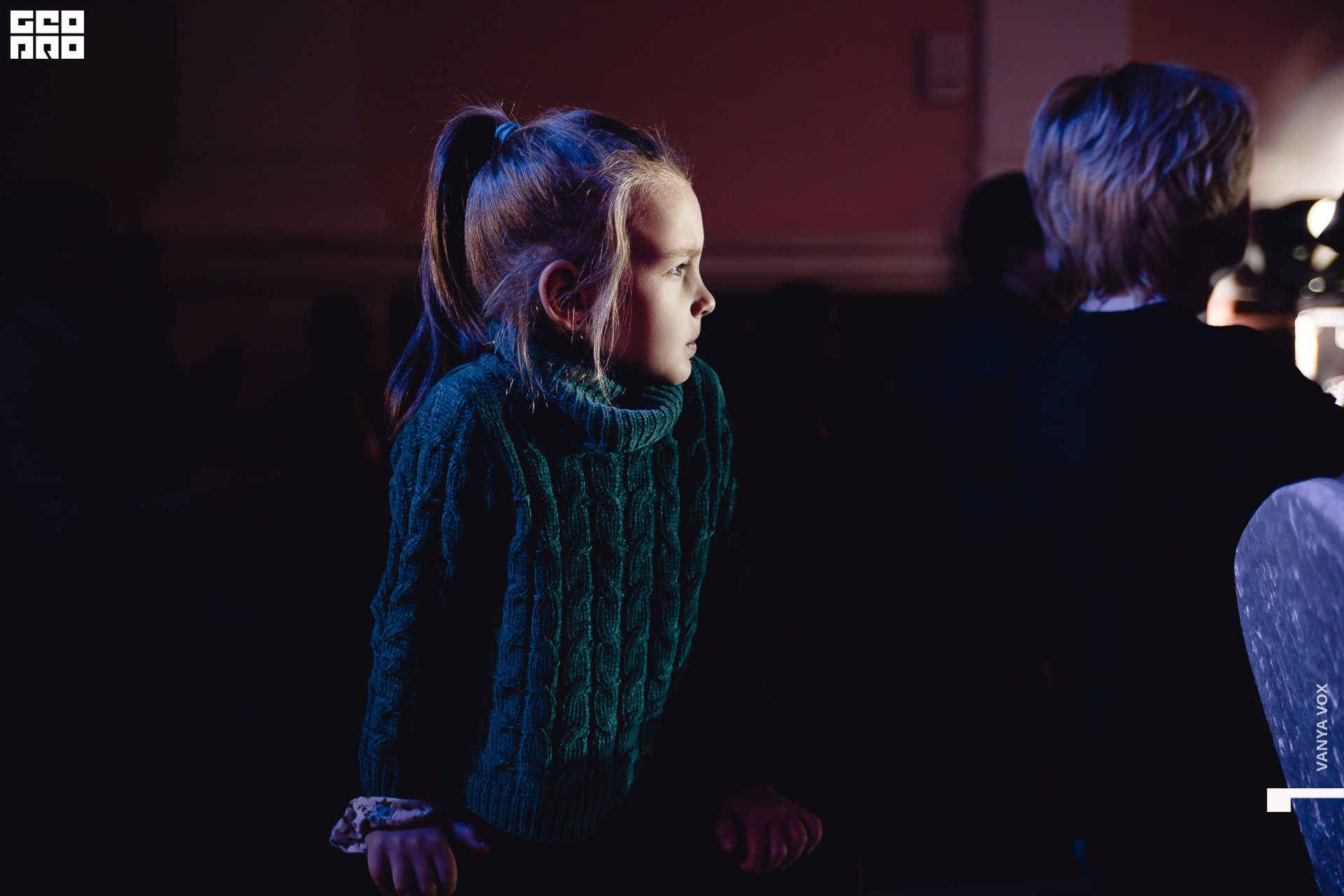 2020-03-14 18-30-00_vox_013.jpg