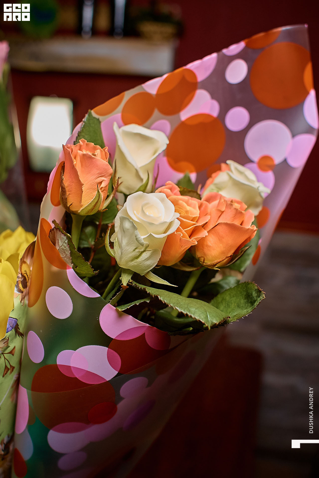 LE MAJOUR _ 0024.jpg