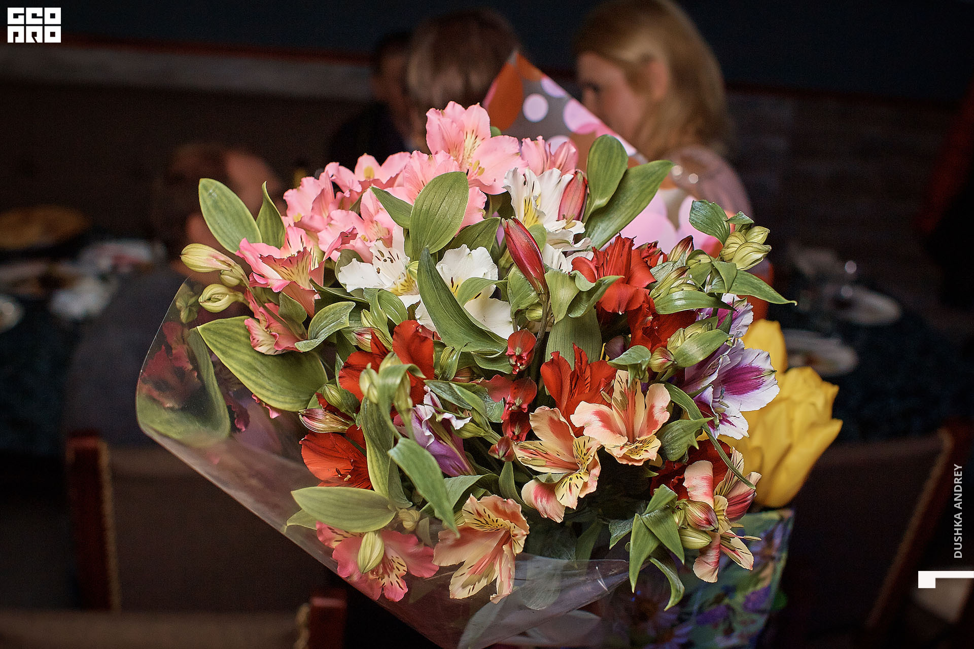 LE MAJOUR _ 0087.jpg