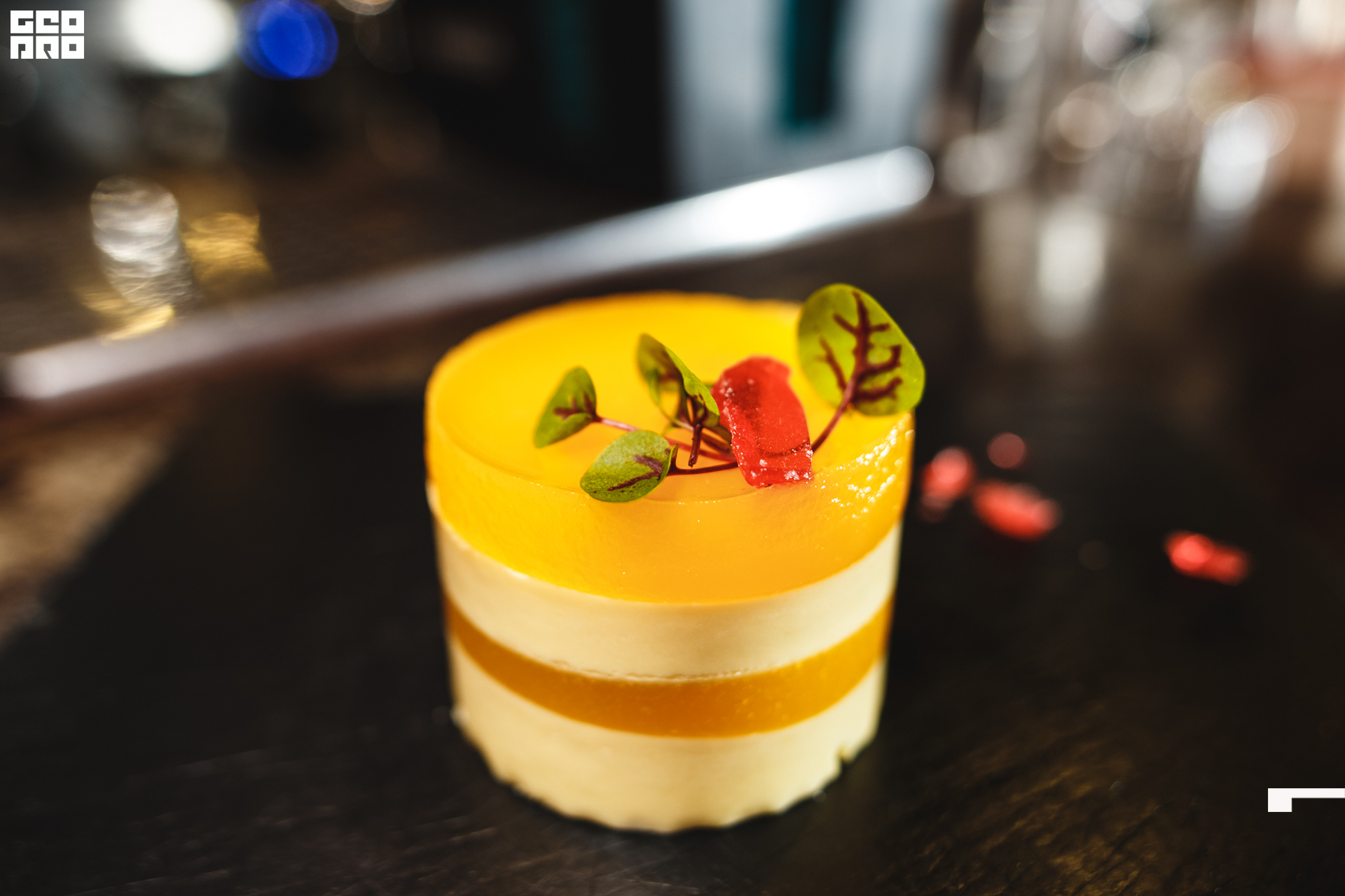 2020-01-17 20-00-00_Tychinina_0004.jpg