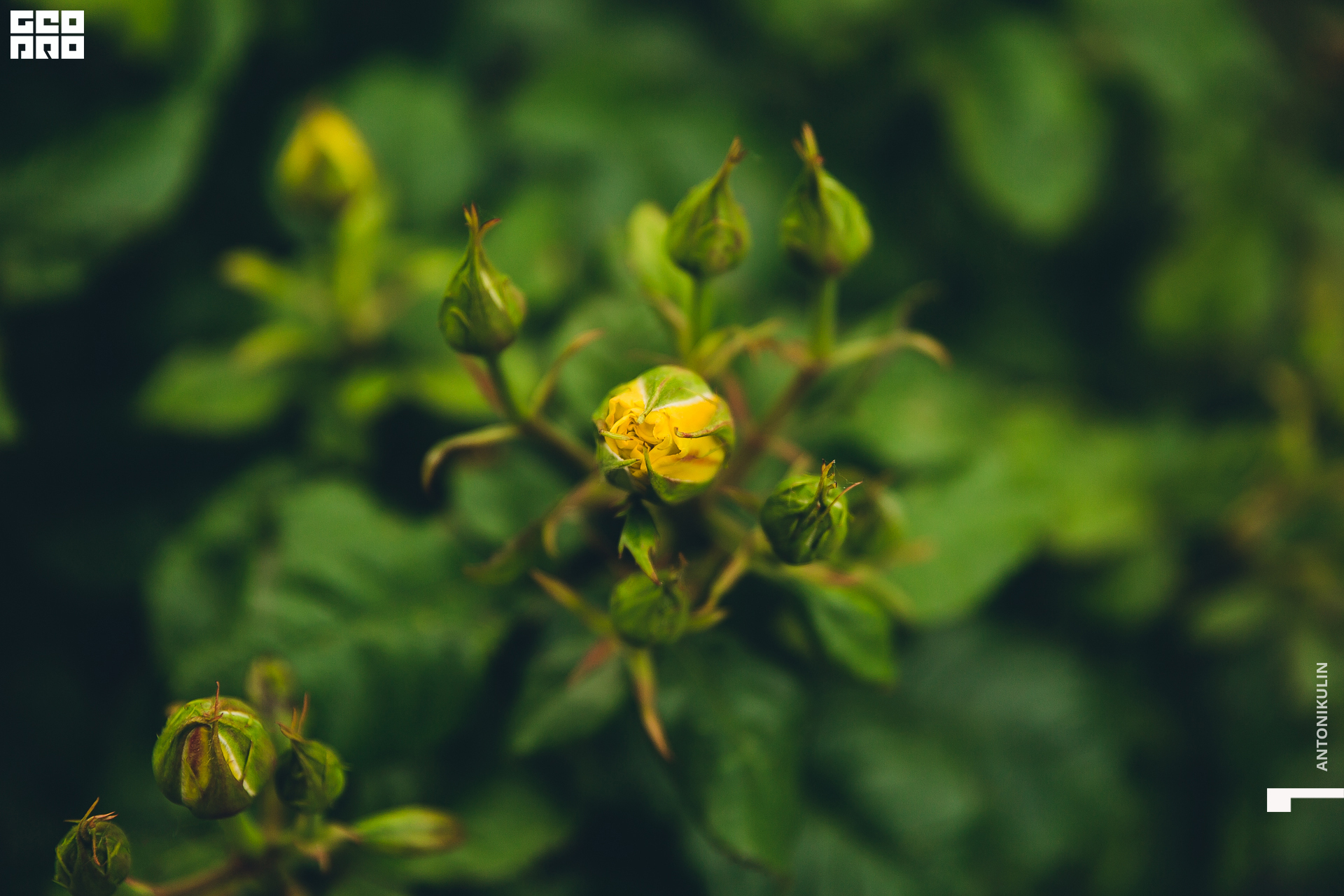 untitled shoot-8082.jpg