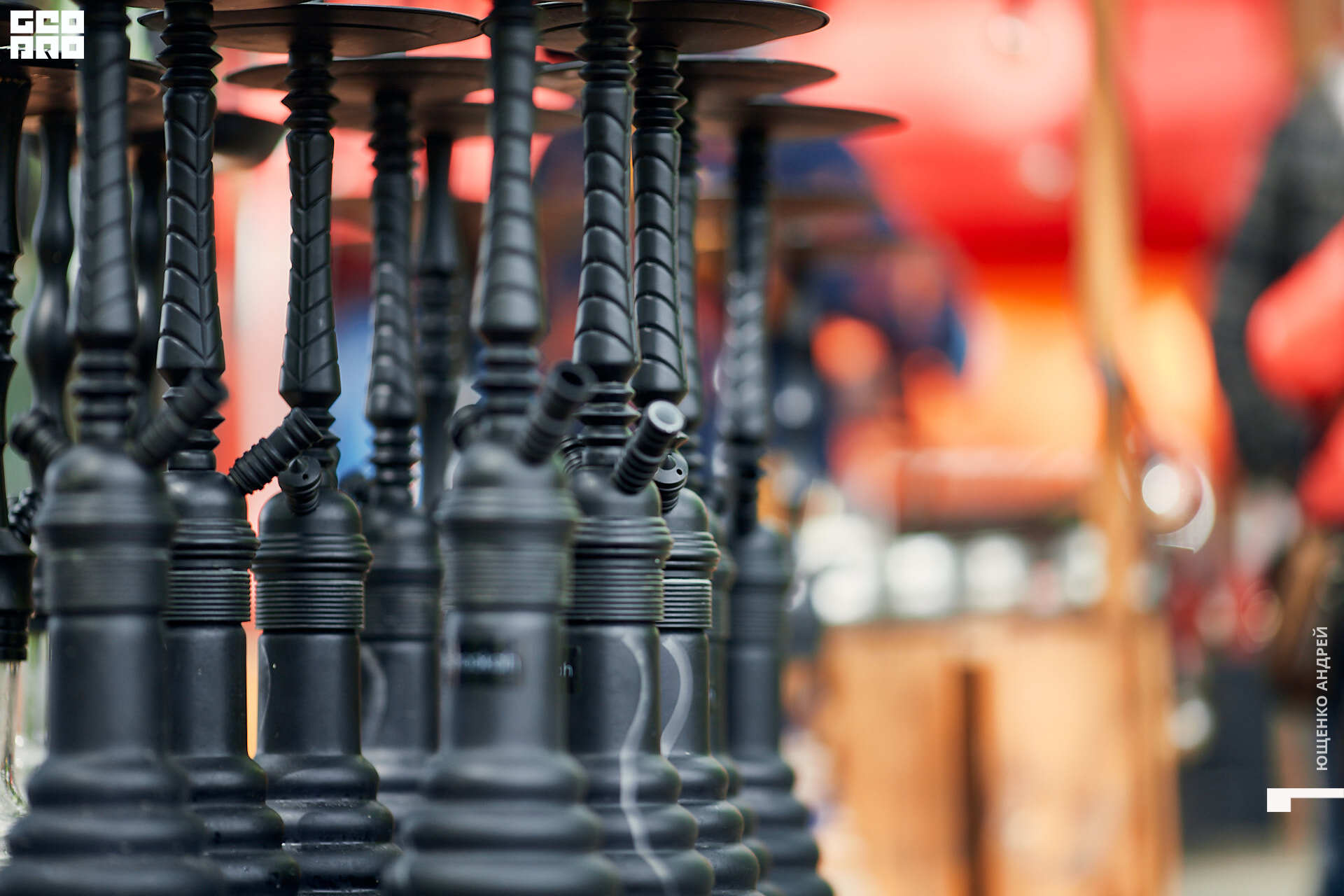 031 IMG_5406  ФНД.jpg