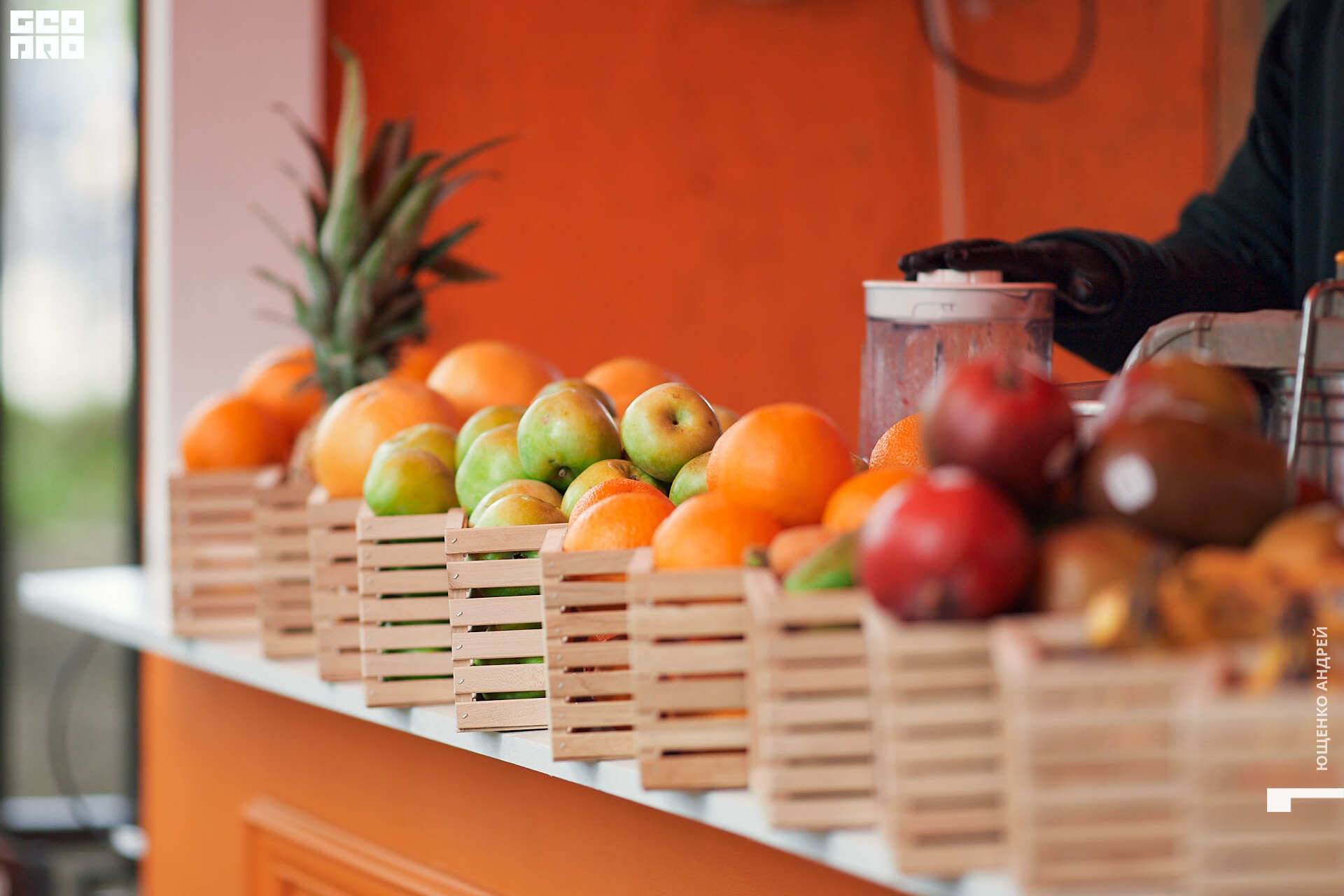 042 IMG_5439  ФНД.jpg