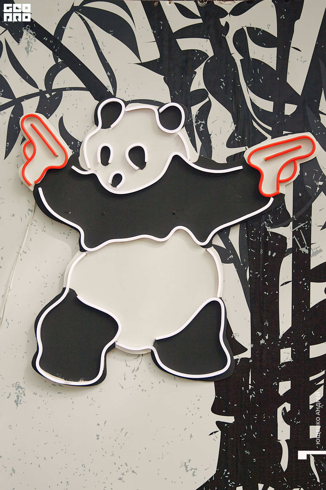 054 IMG_6426  ФНД.jpg