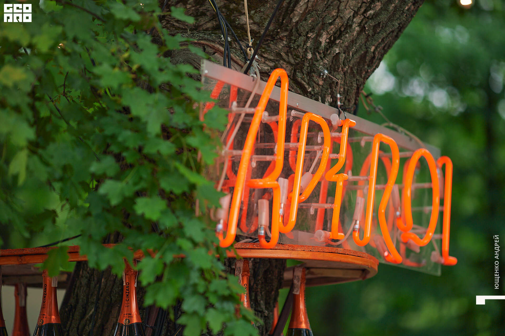 127 IMG_5664  ФНД.jpg