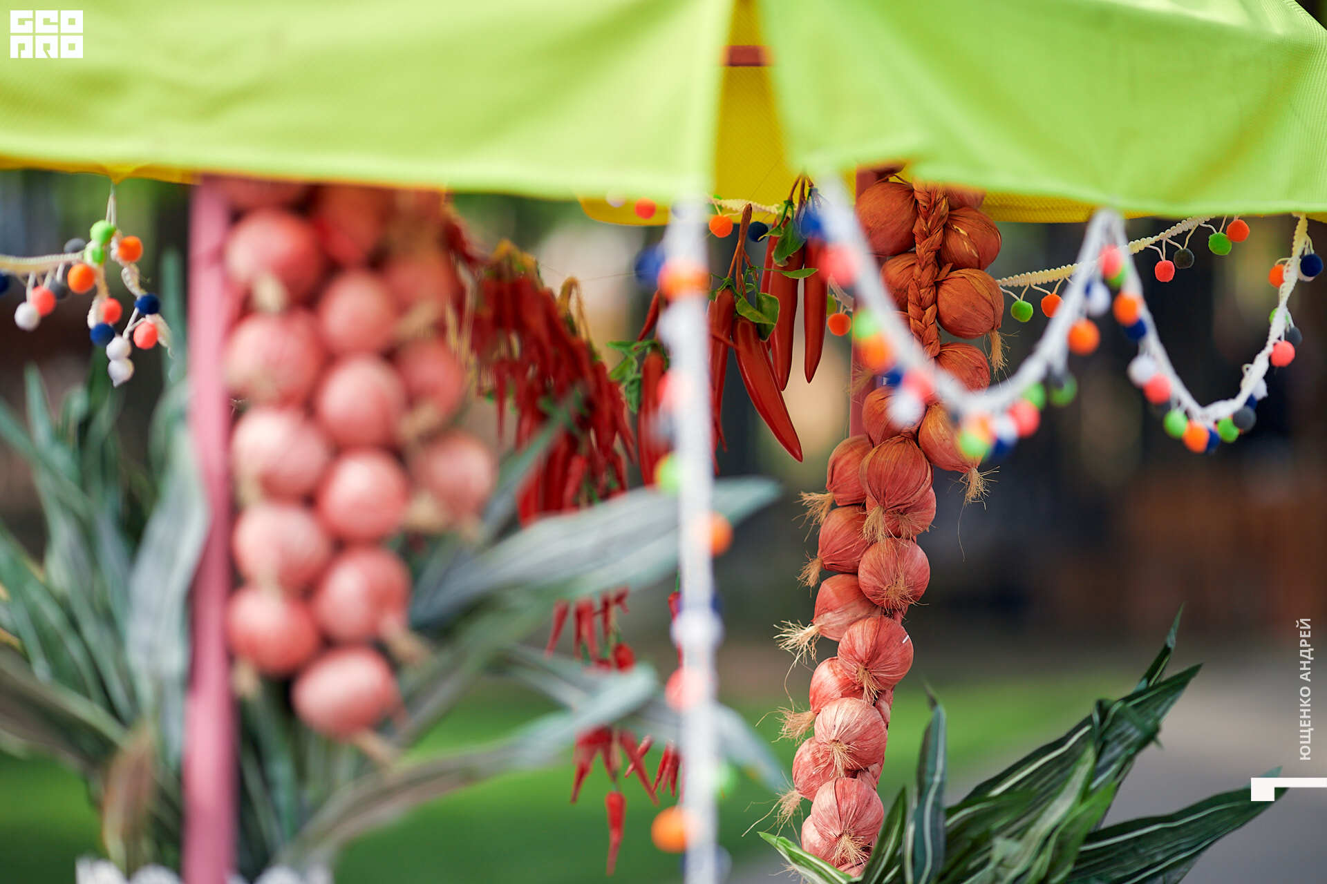 173 IMG_5952  ФНД.jpg