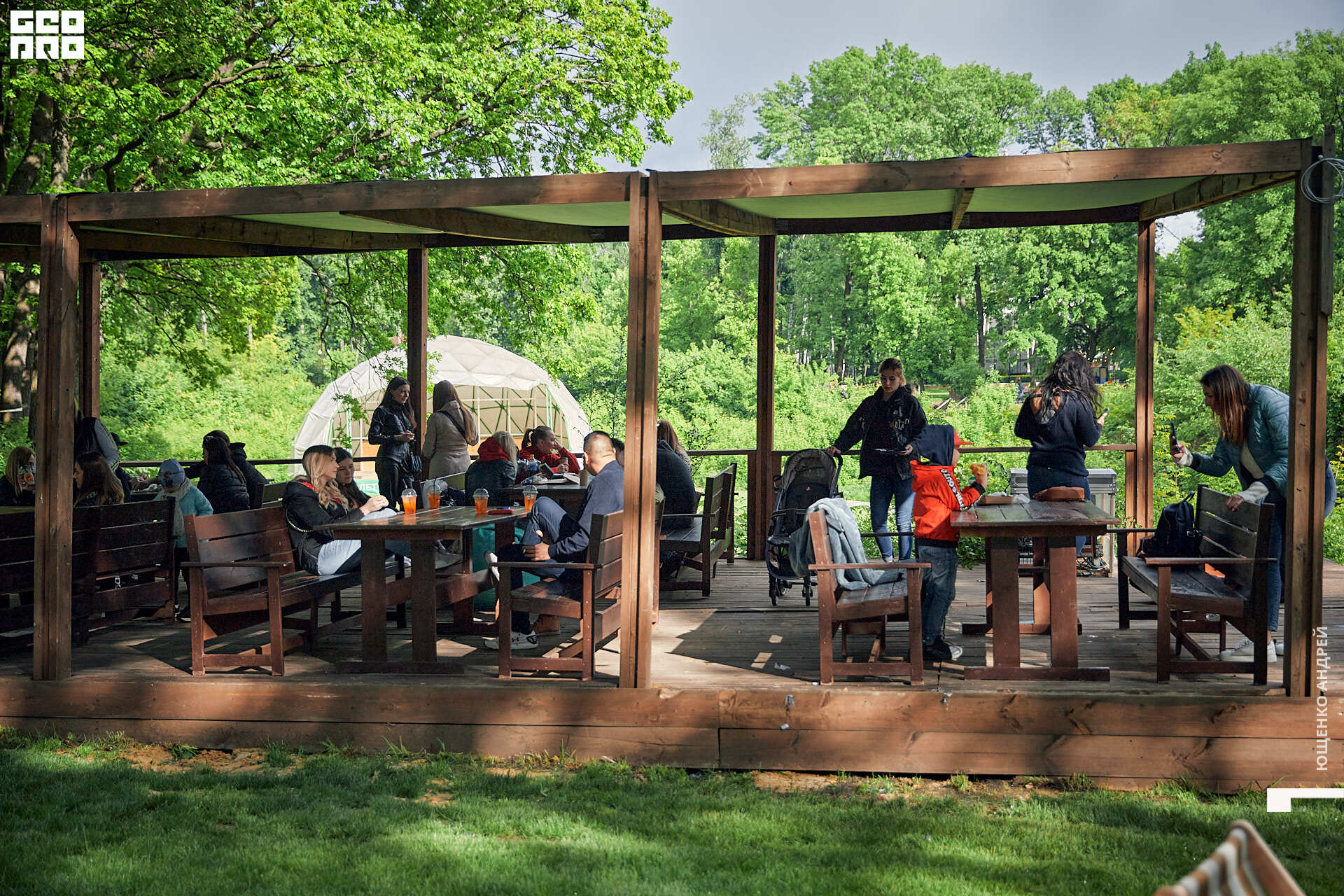 194 IMG_6646  ФНД.jpg