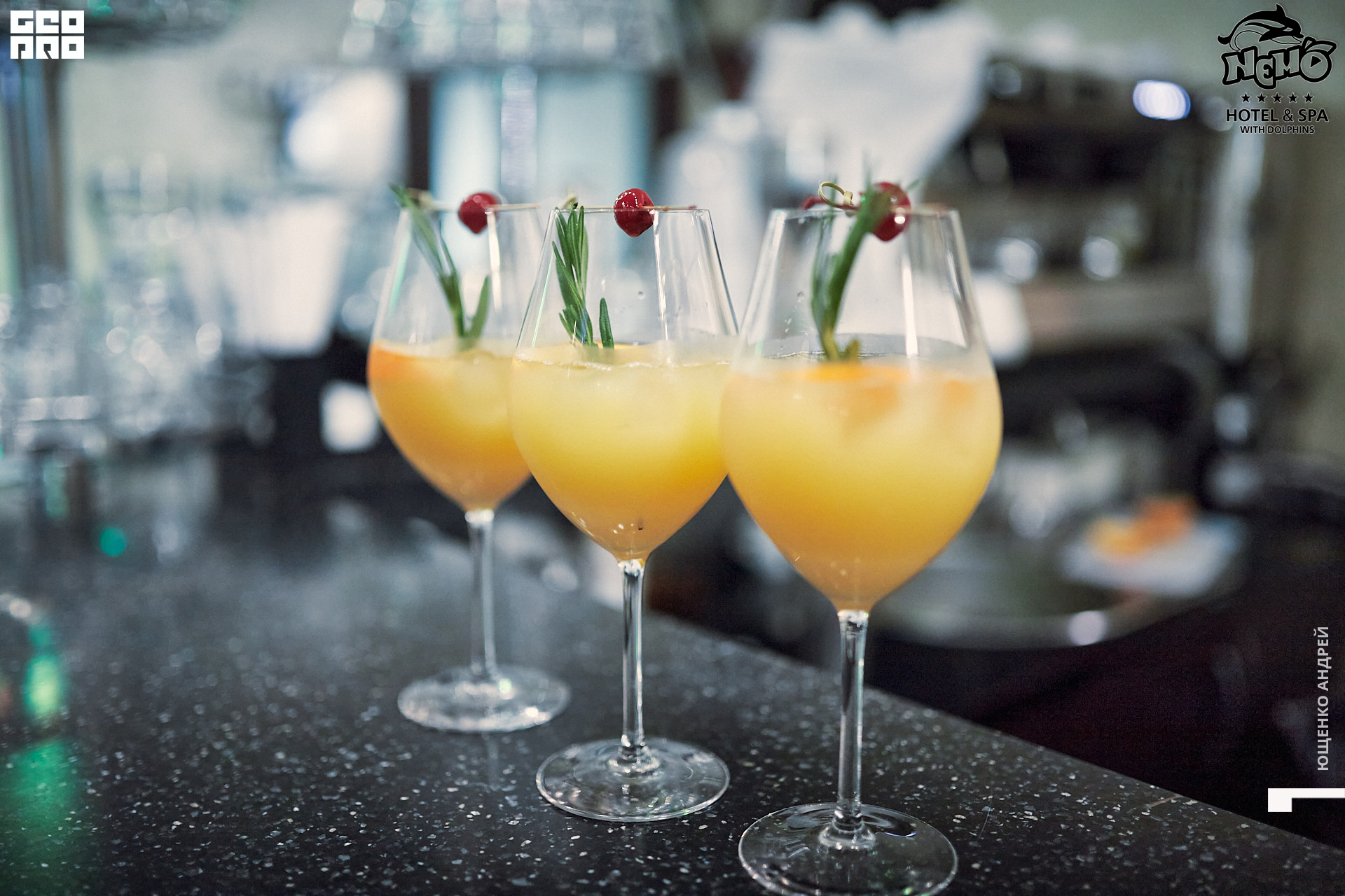 IMG_8952  ФНД.jpg