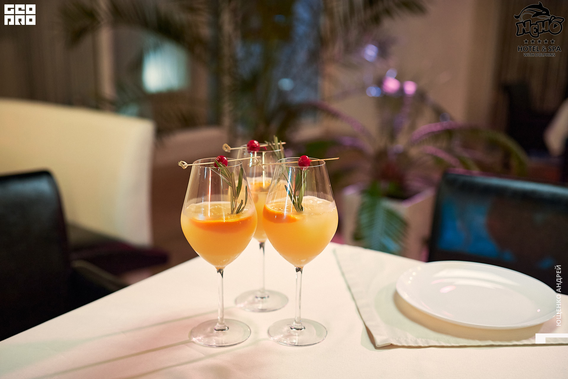 IMG_8963  ФНД.jpg