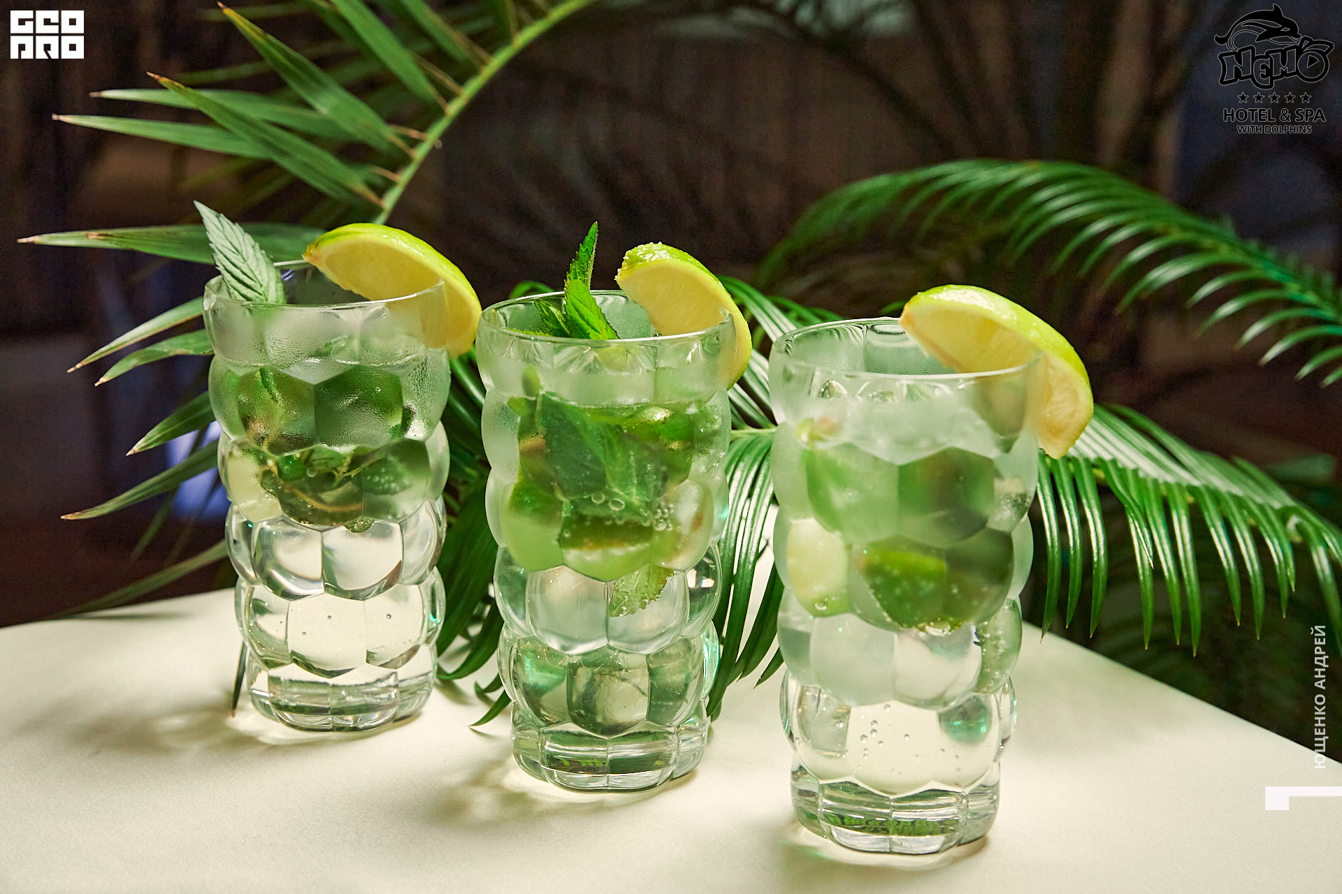 IMG_9001  ФНД.jpg