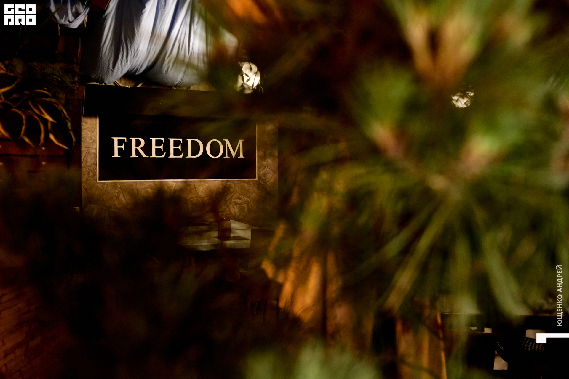 tokmakaveli 1155.jpg