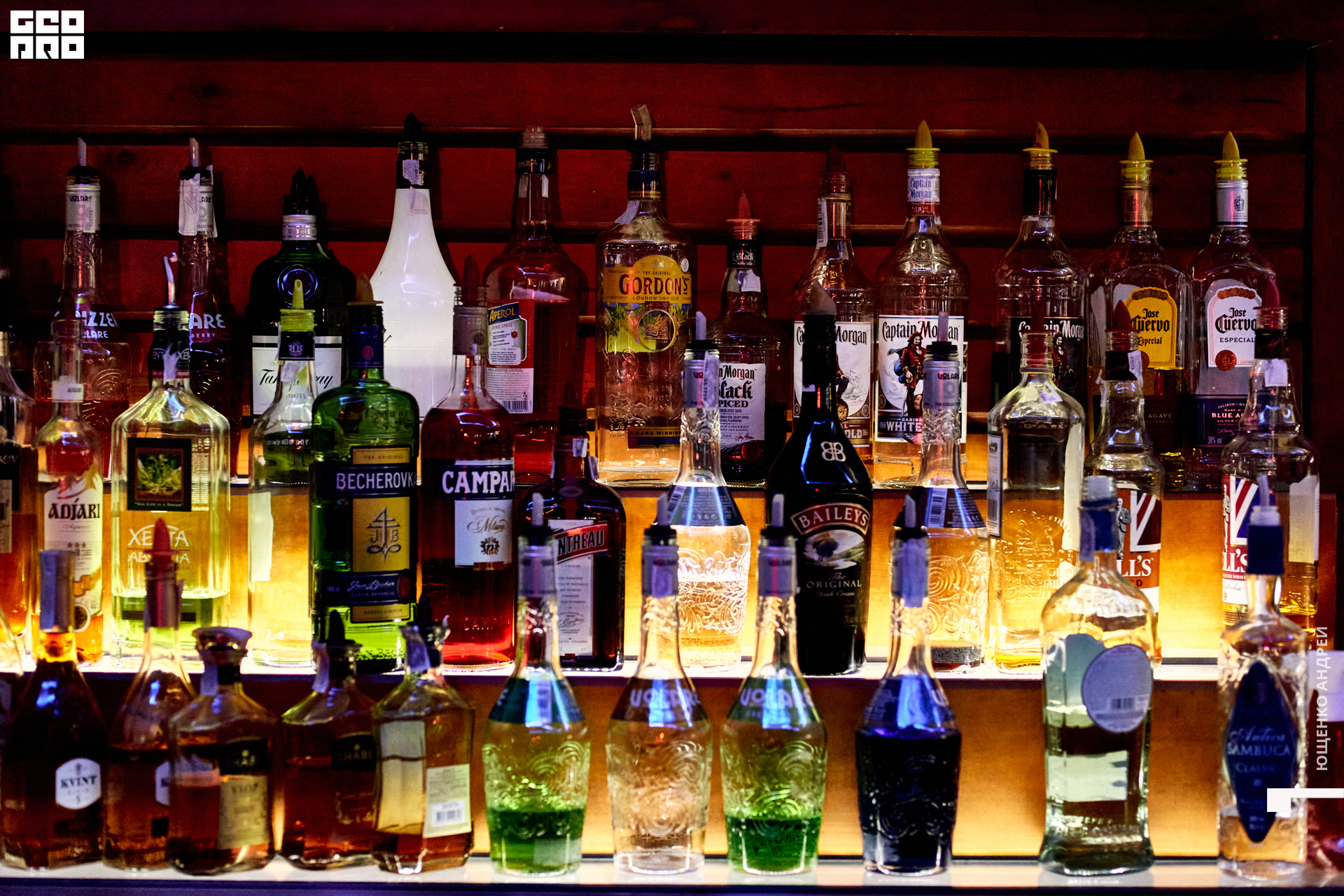 tokmakaveli 1196.jpg