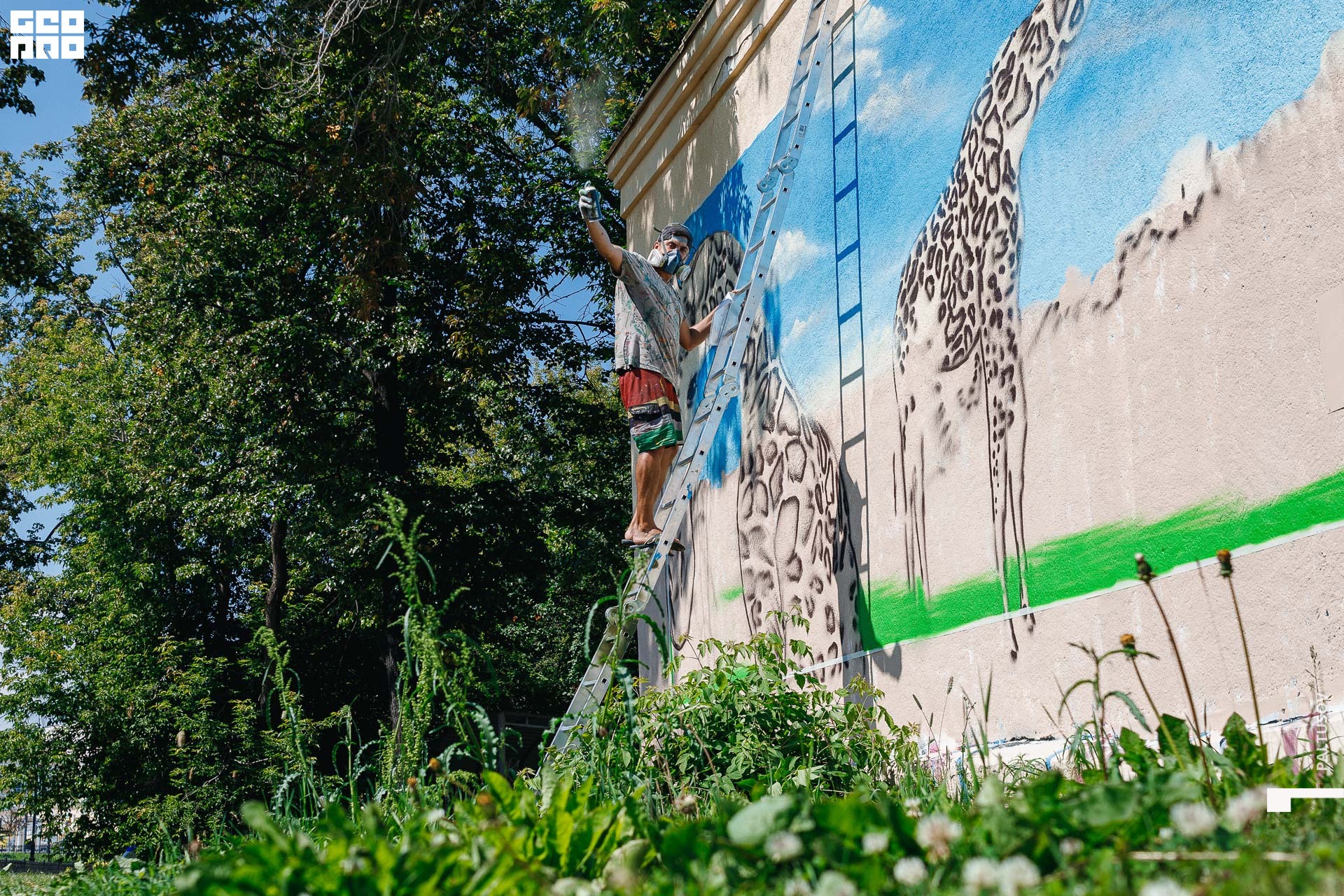 027-2020-07-07-11-49-37 - Paltusov.jpg