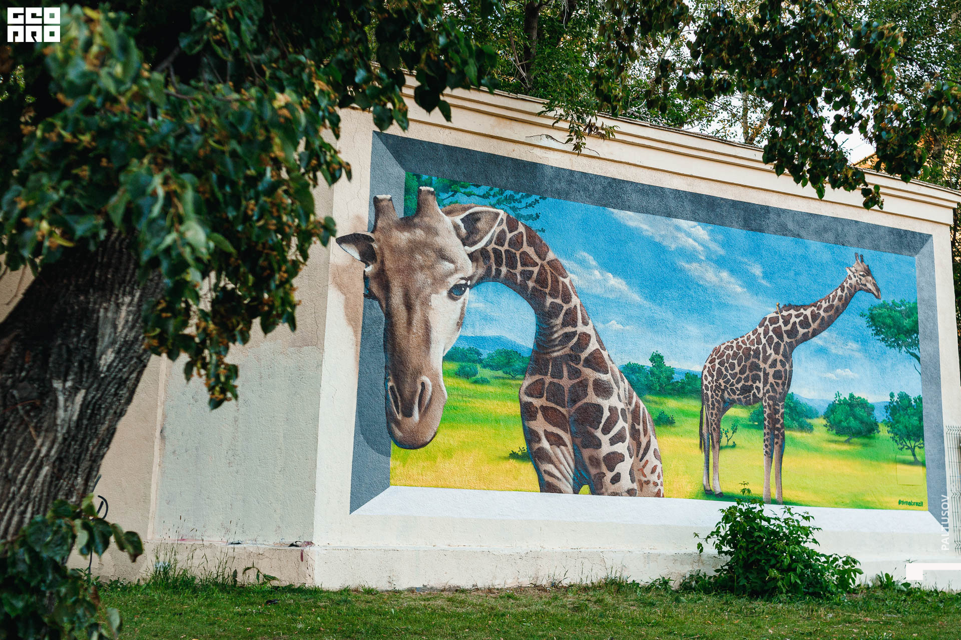 061-2020-07-07-21-02-18 - Paltusov.jpg