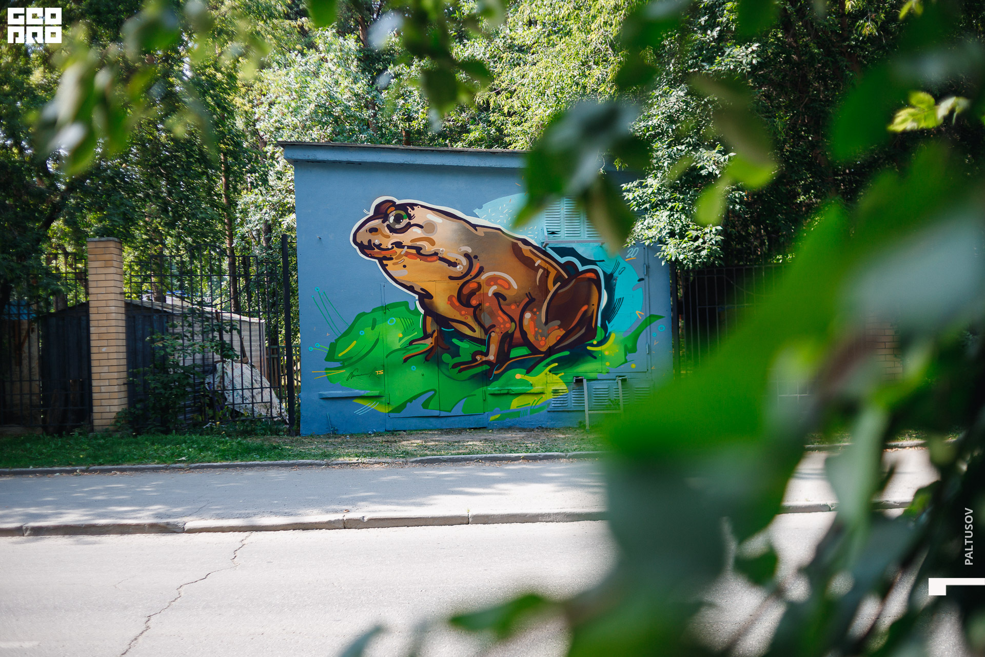 315-2020-07-19-10-54-33 - Paltusov.jpg