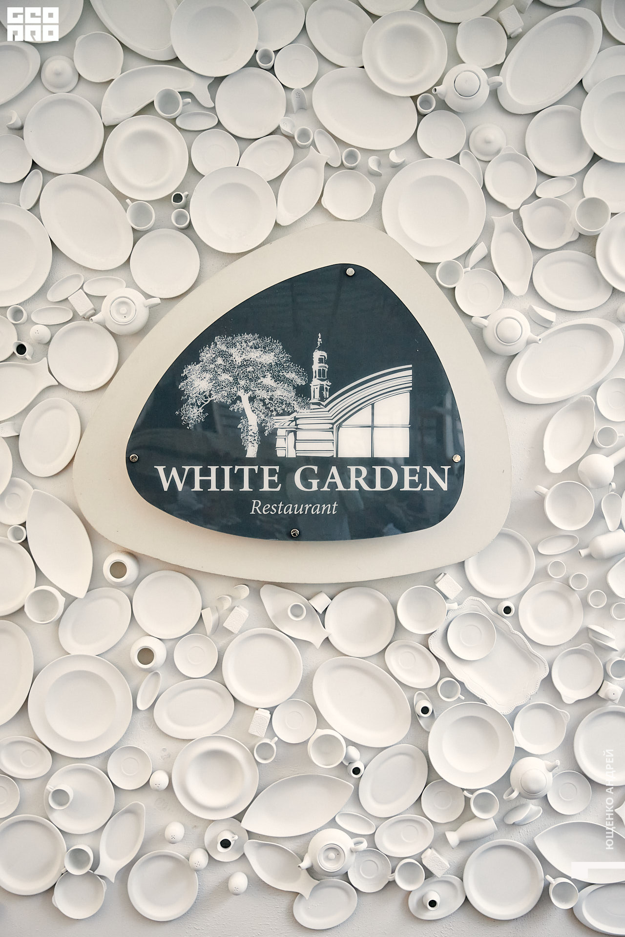 022 IMG_9655 FHD.jpg