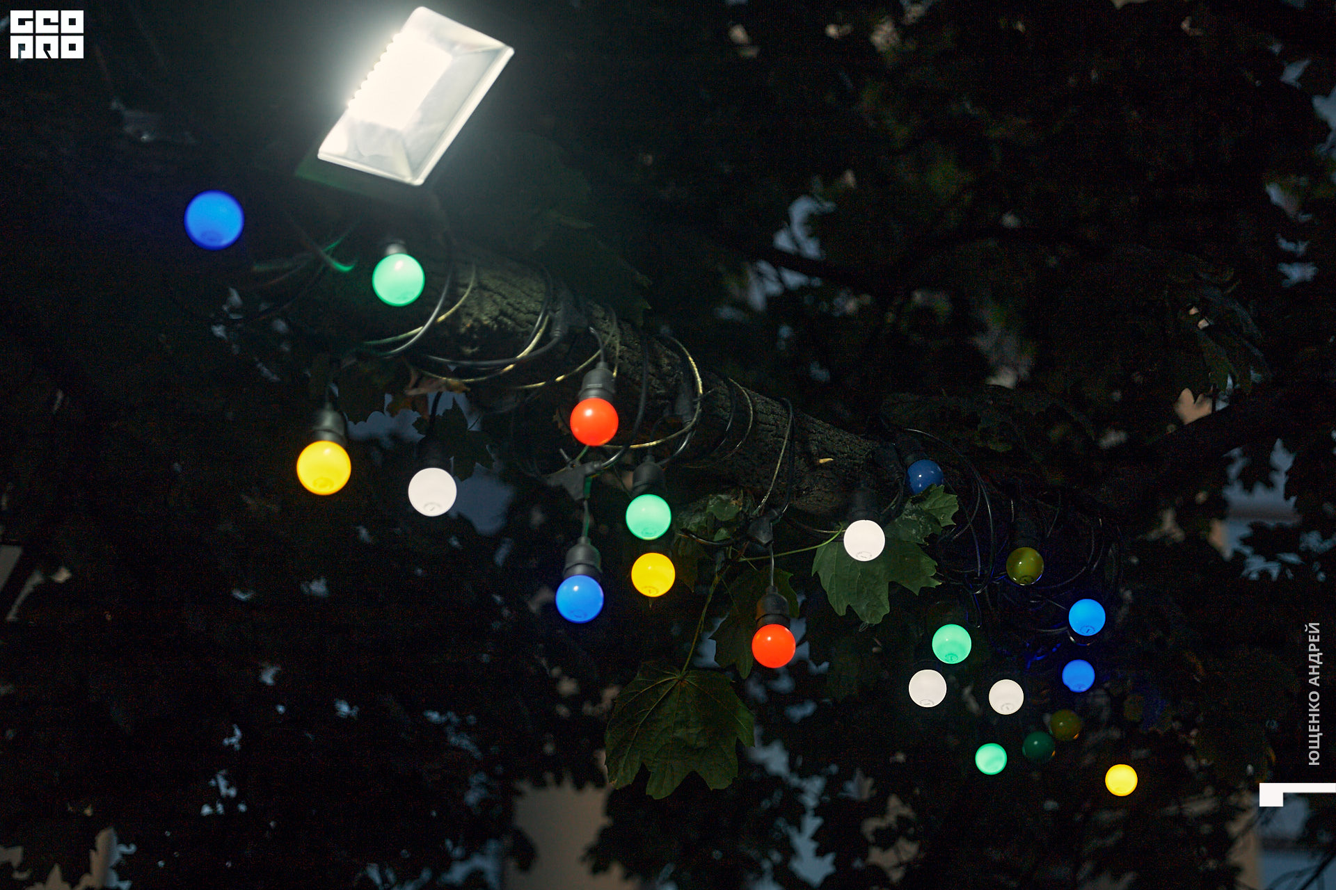 105 IMG_9962 FHD.jpg