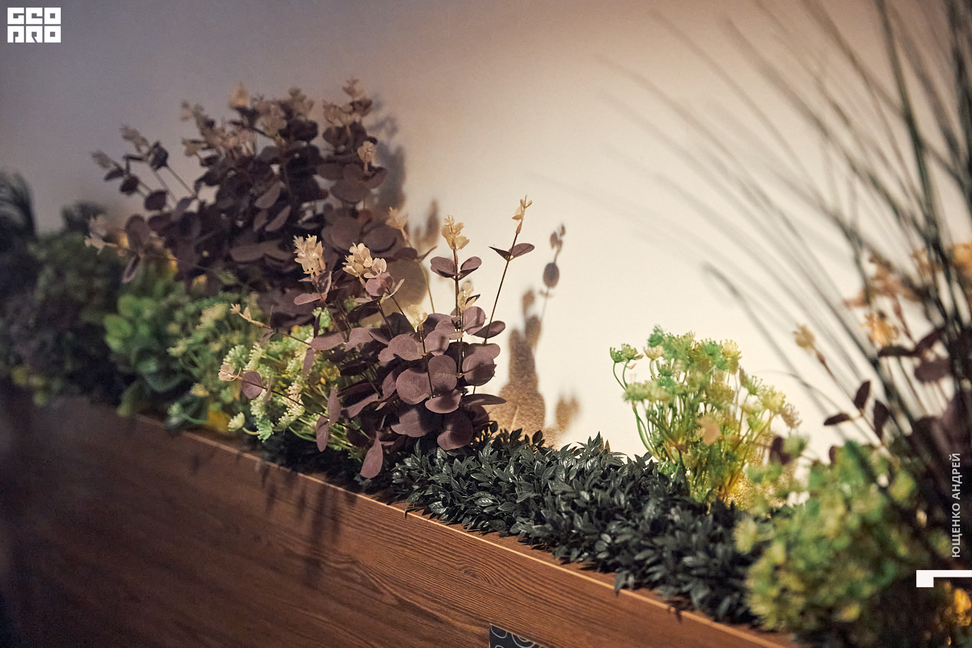 045 IMG_0774 FНД.jpg