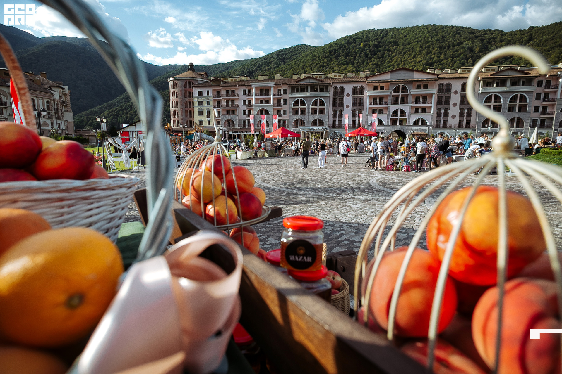 AI2V6342-1 копия.jpg