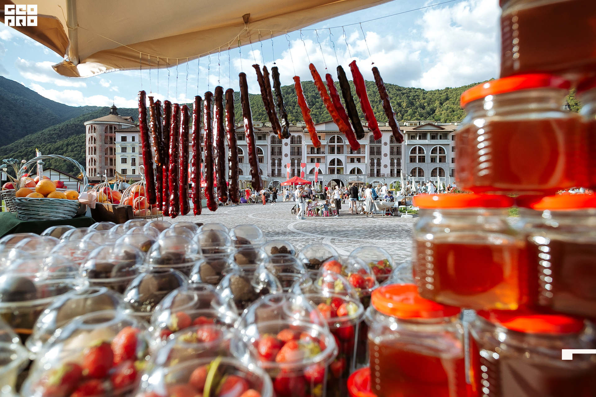 AI2V6348-2 копия.jpg