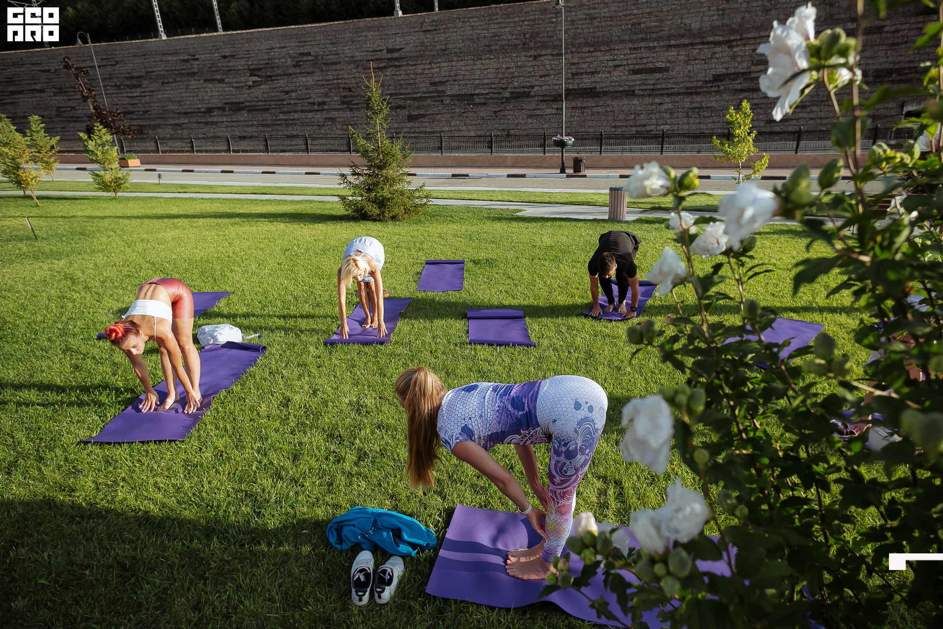 AI2V6487-21 копия.jpg