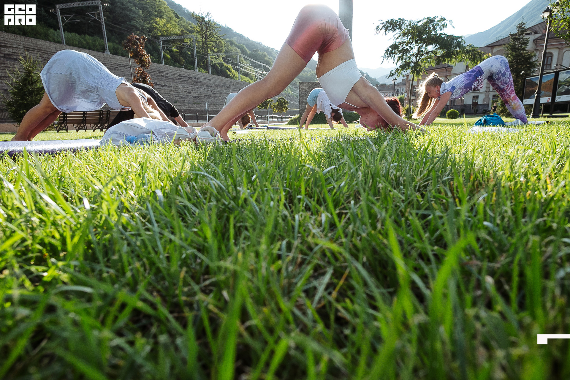 AI2V6515-25 копия.jpg