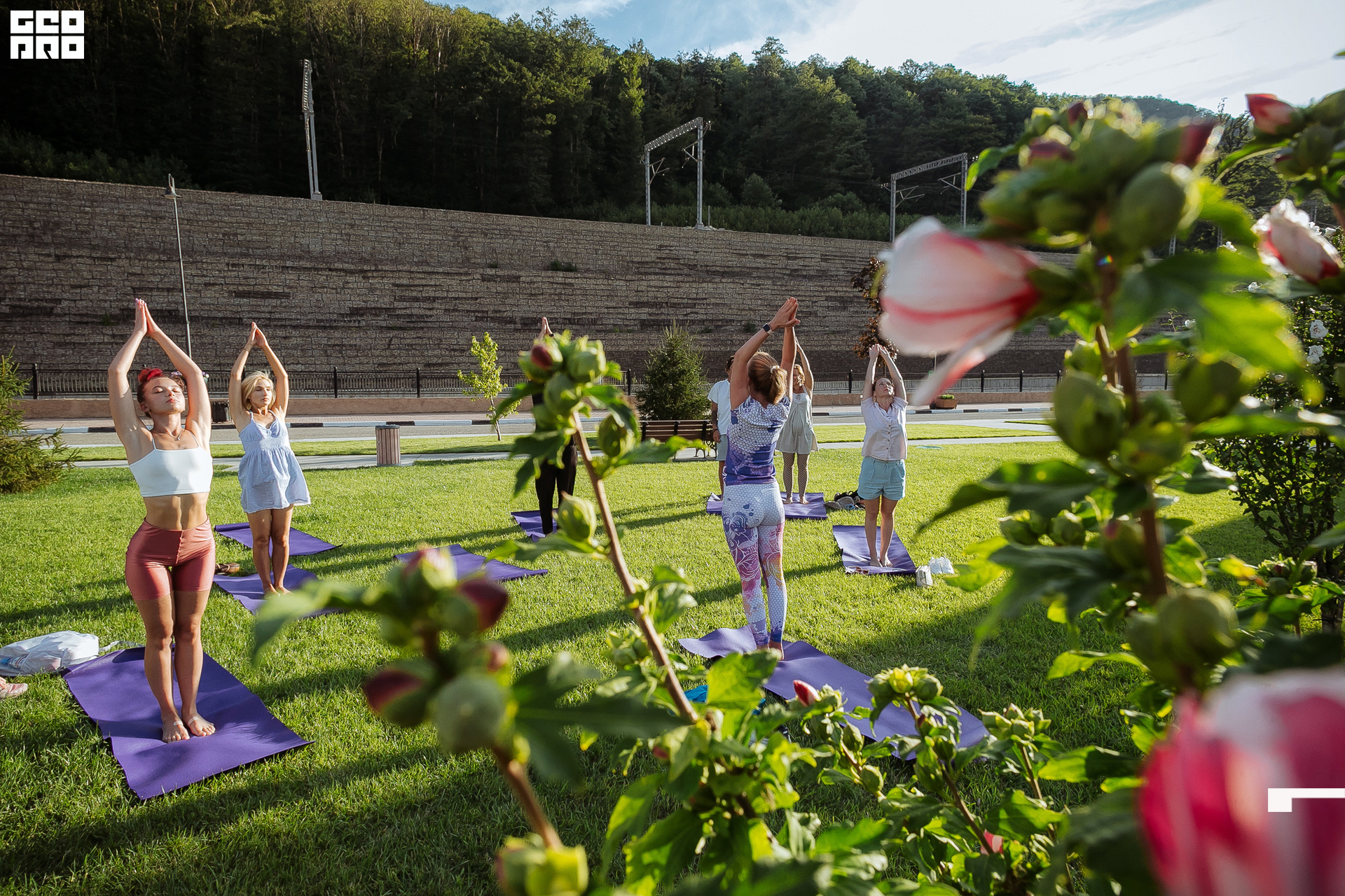 AI2V6523-27 копия.jpg