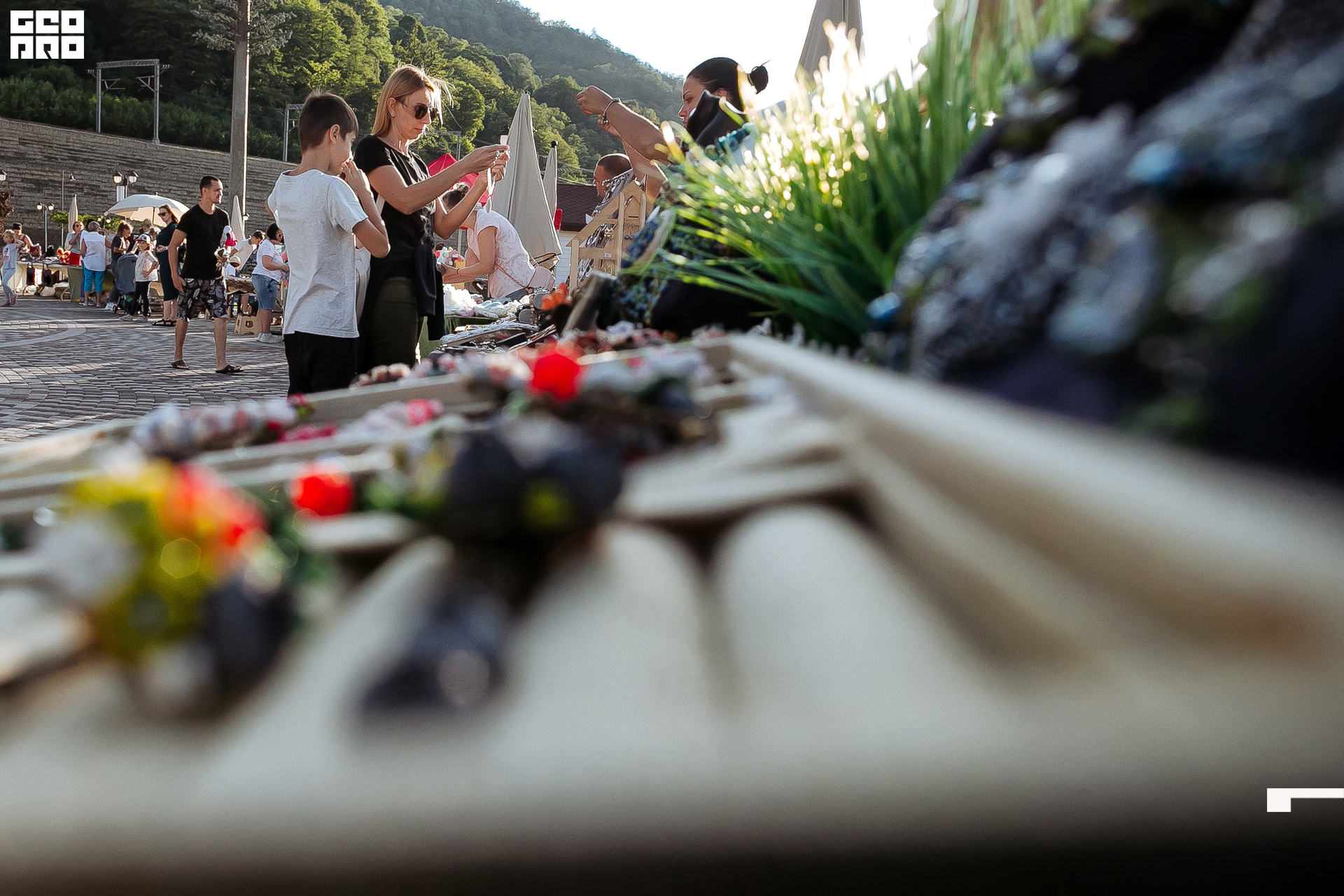 AI2V6622-41 копия.jpg