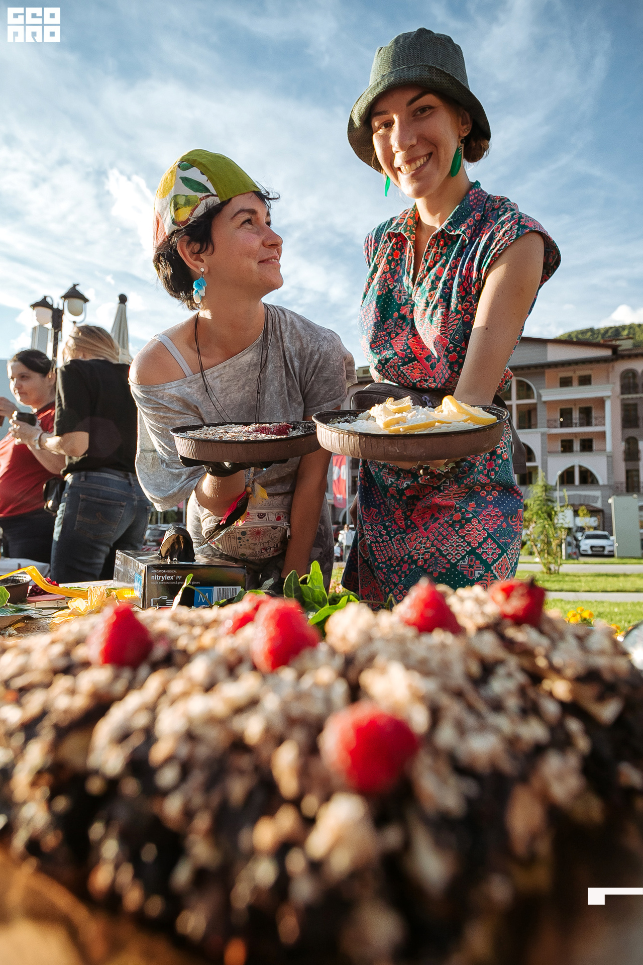 AI2V6662-47 копия.jpg