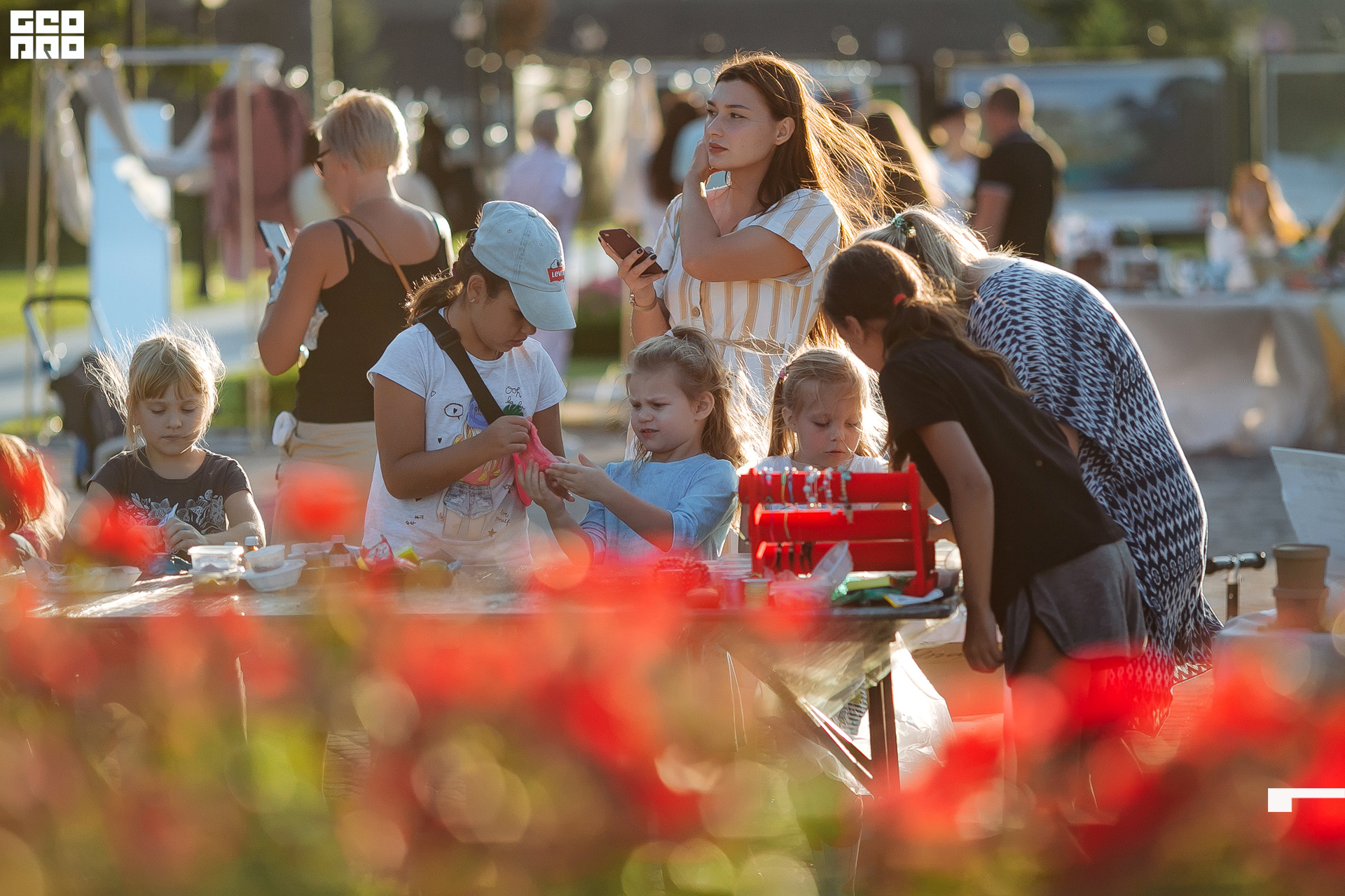 AI2V6820-63 копия.jpg